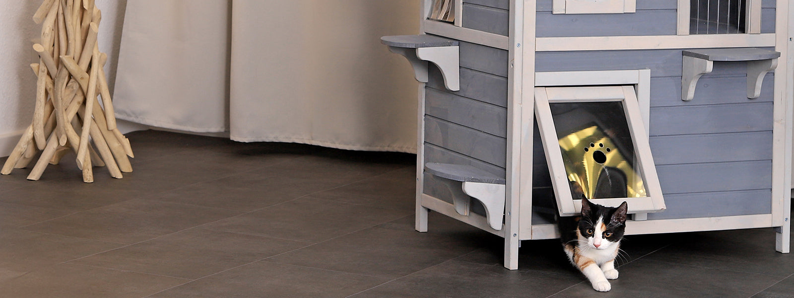 Kitten erkundet die Katzenvilla