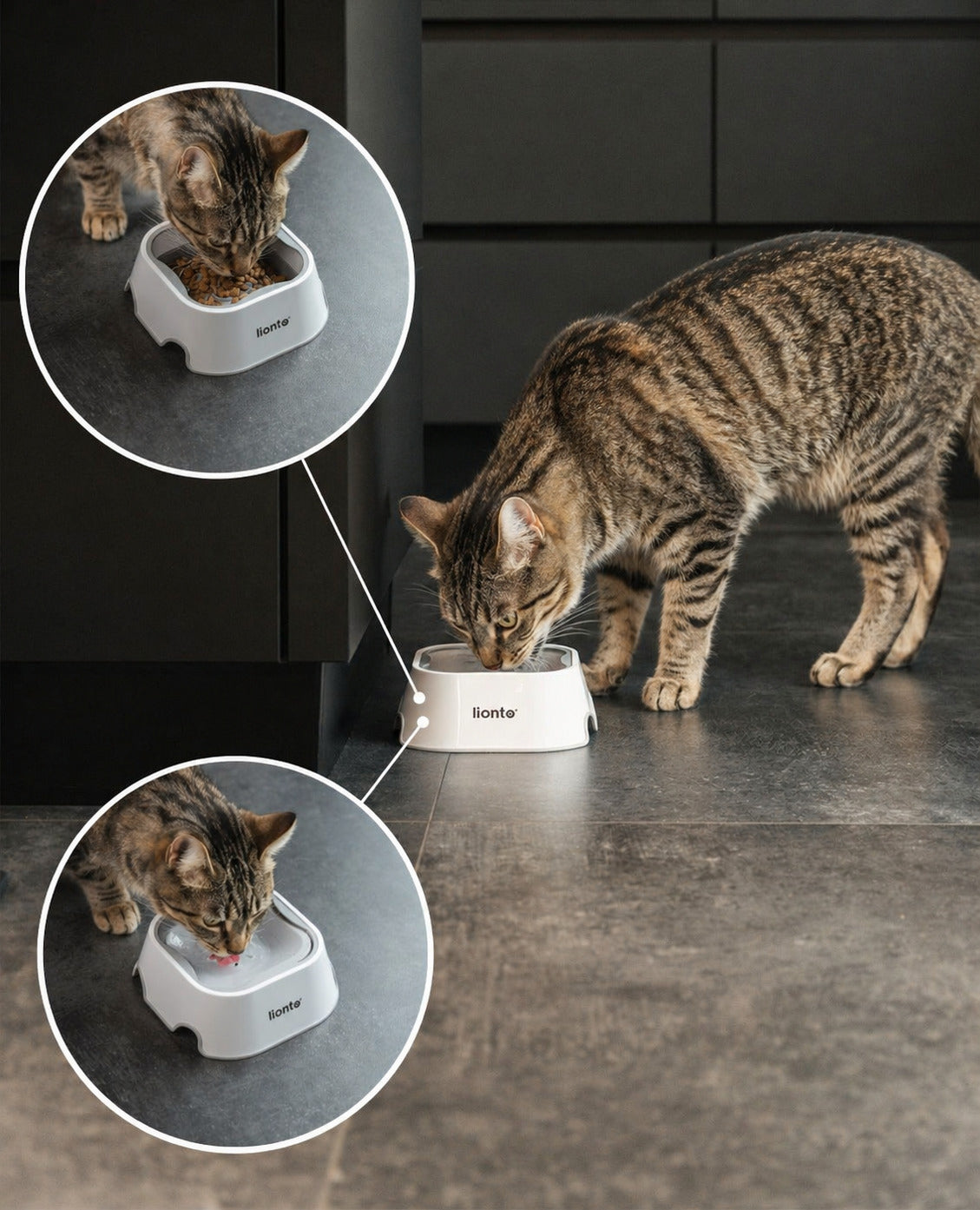 lionto Gamelle à eau pour chien et chats Gamelle anti-salissure, étanche,1 litre