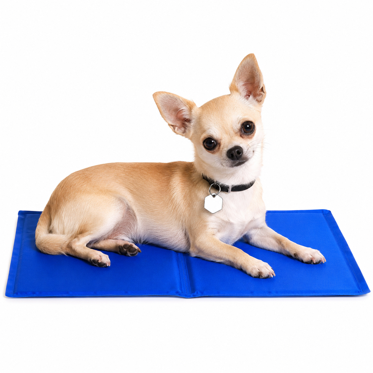 Tapis auto-refroidissant