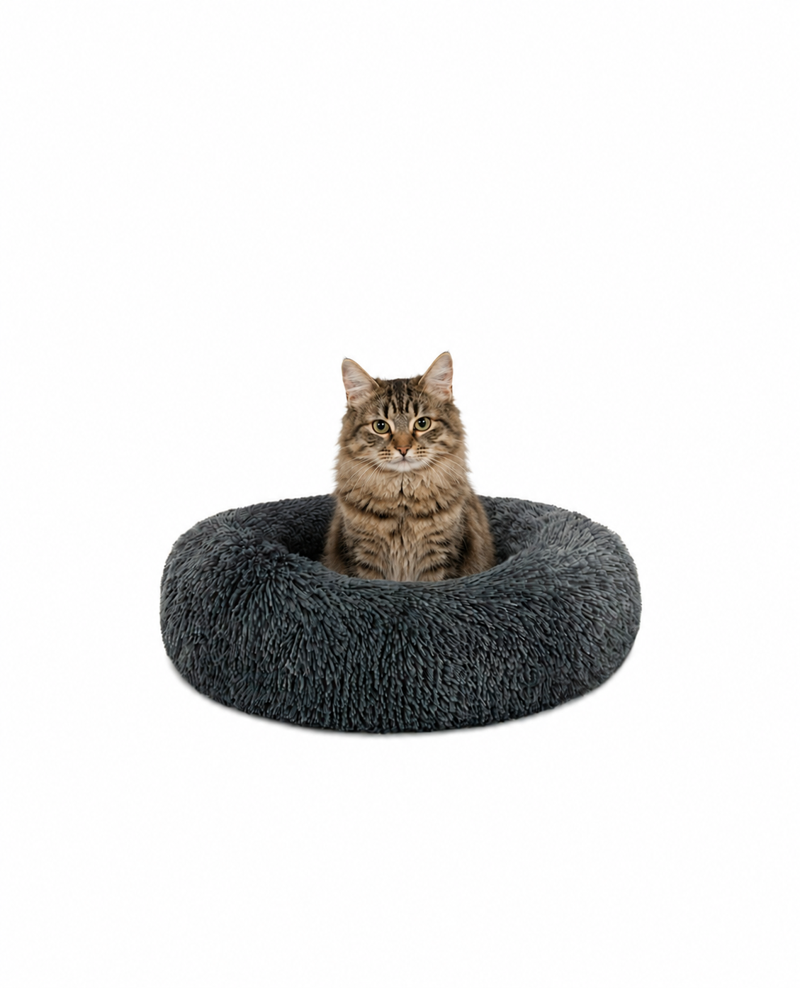 lionto Panier rond chat coussin chat panier donut choix de la taille et couleur