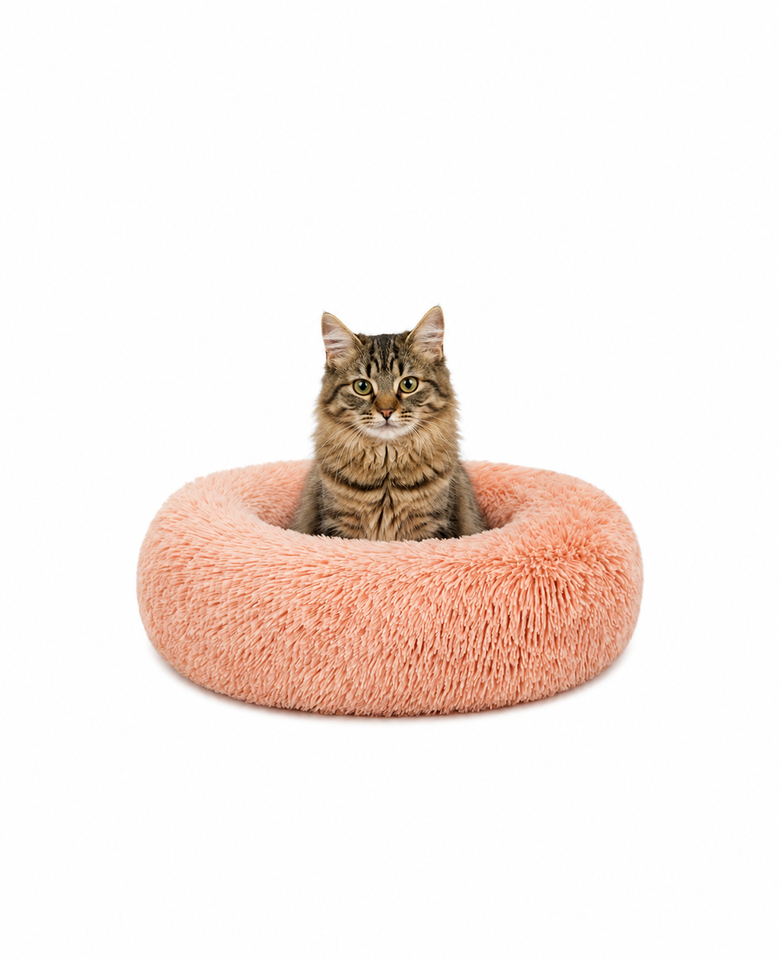 lionto Panier rond chat coussin chat panier donut choix de la taille et couleur