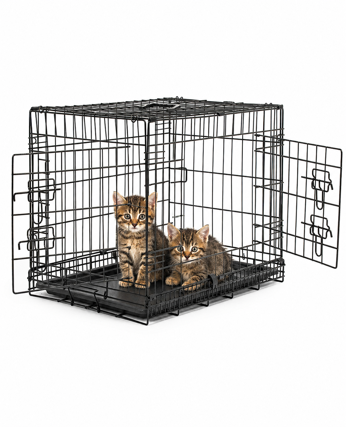 lionto Cage pour chat pliable et transportable, S - XXXL, avec Porte