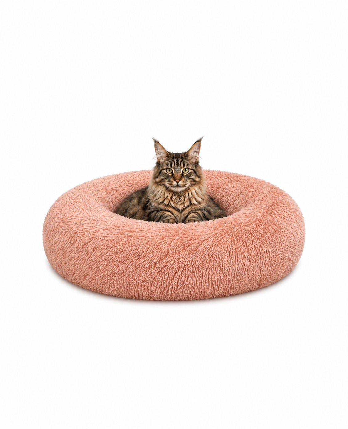 lionto Panier rond chat coussin chat panier donut choix de la taille et couleur