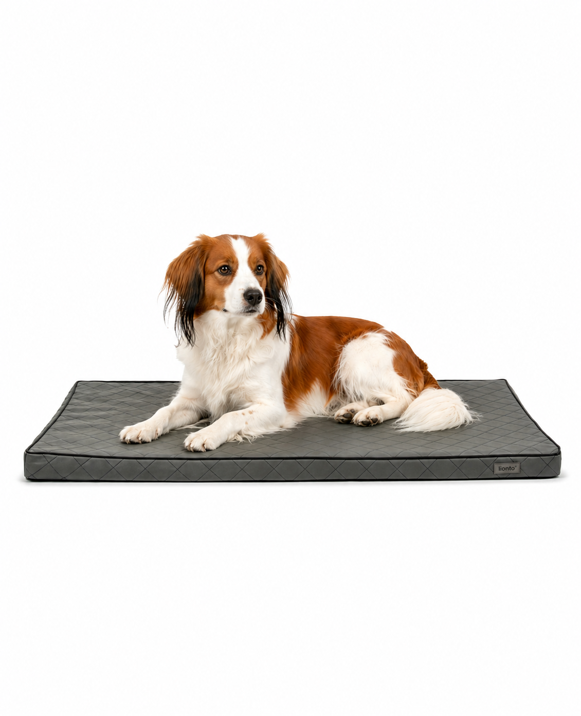 lionto Tapis orthopédique pour chien Lit pour chien en cuir synthétique mousse, différentes tailles