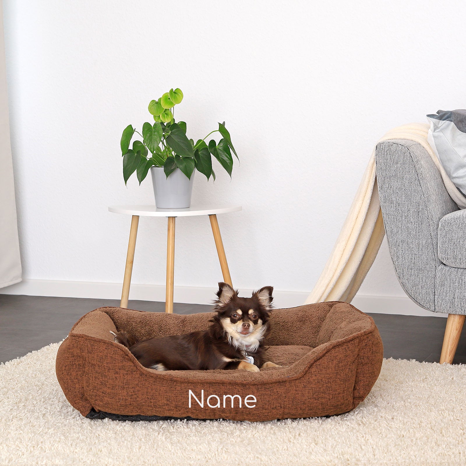 Lit pour animaux chiné, personnalisé