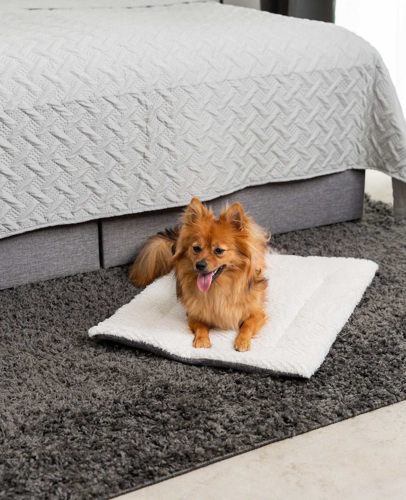 Couverture réversible pour chiens