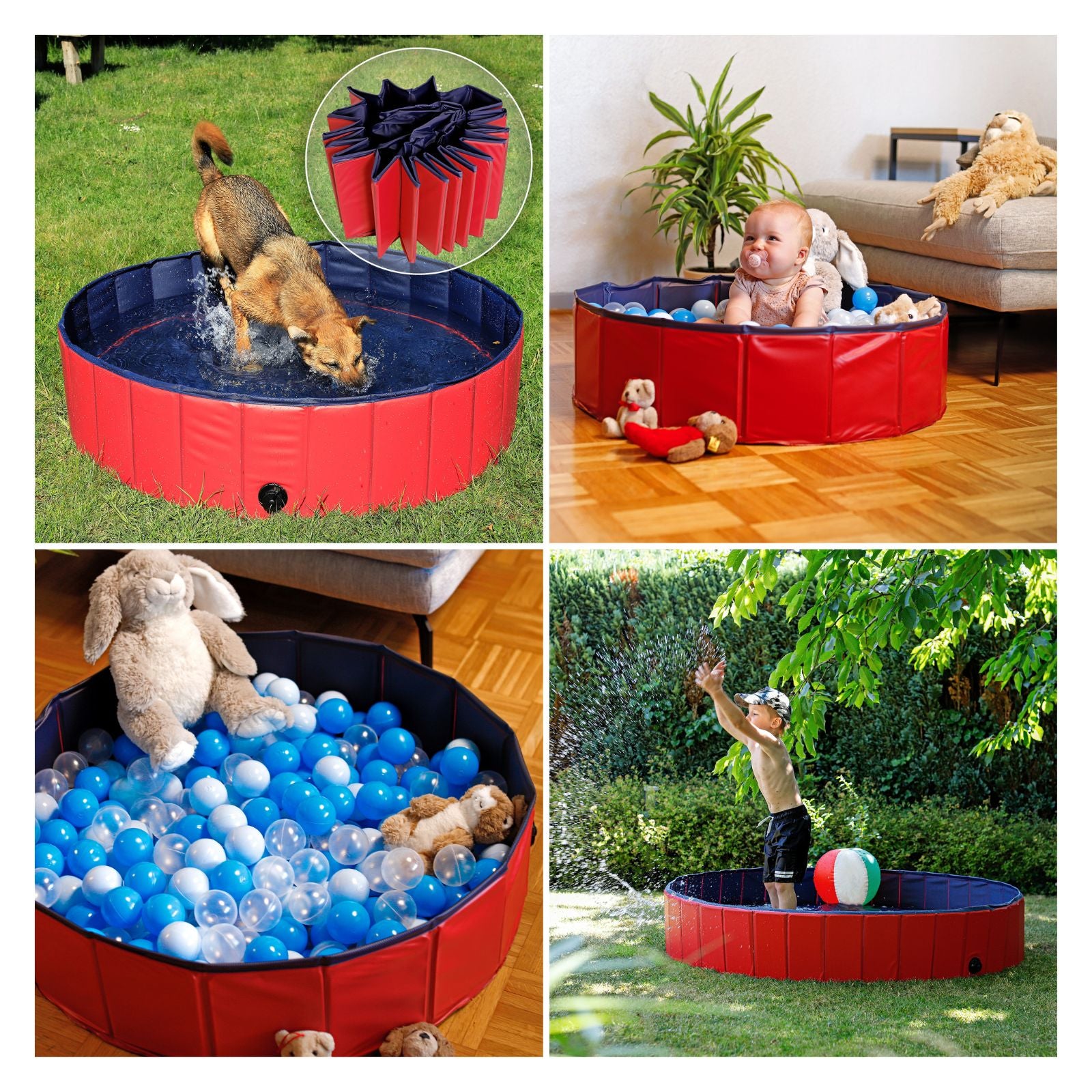 Piscine pliable pour chien