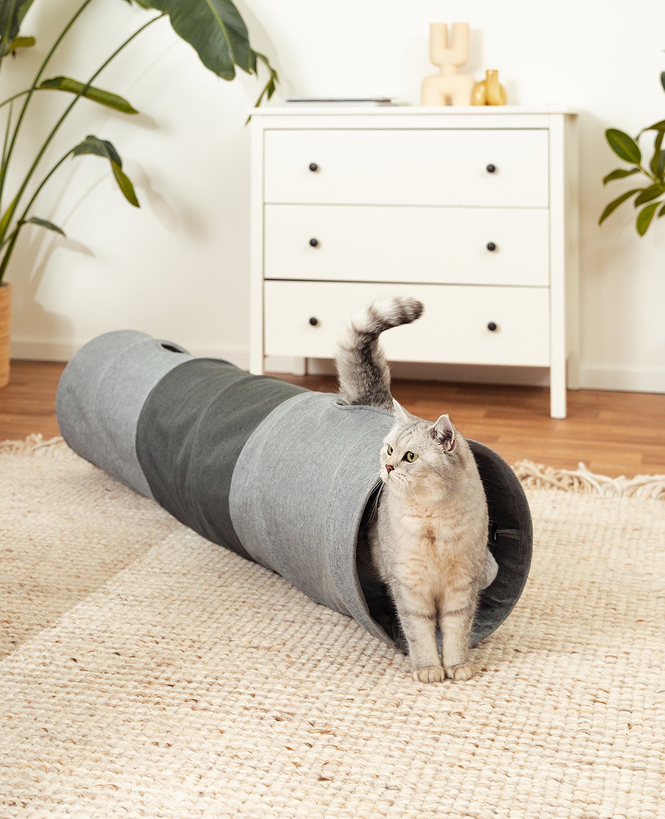 Tunnel pour chat avec balle de jeu