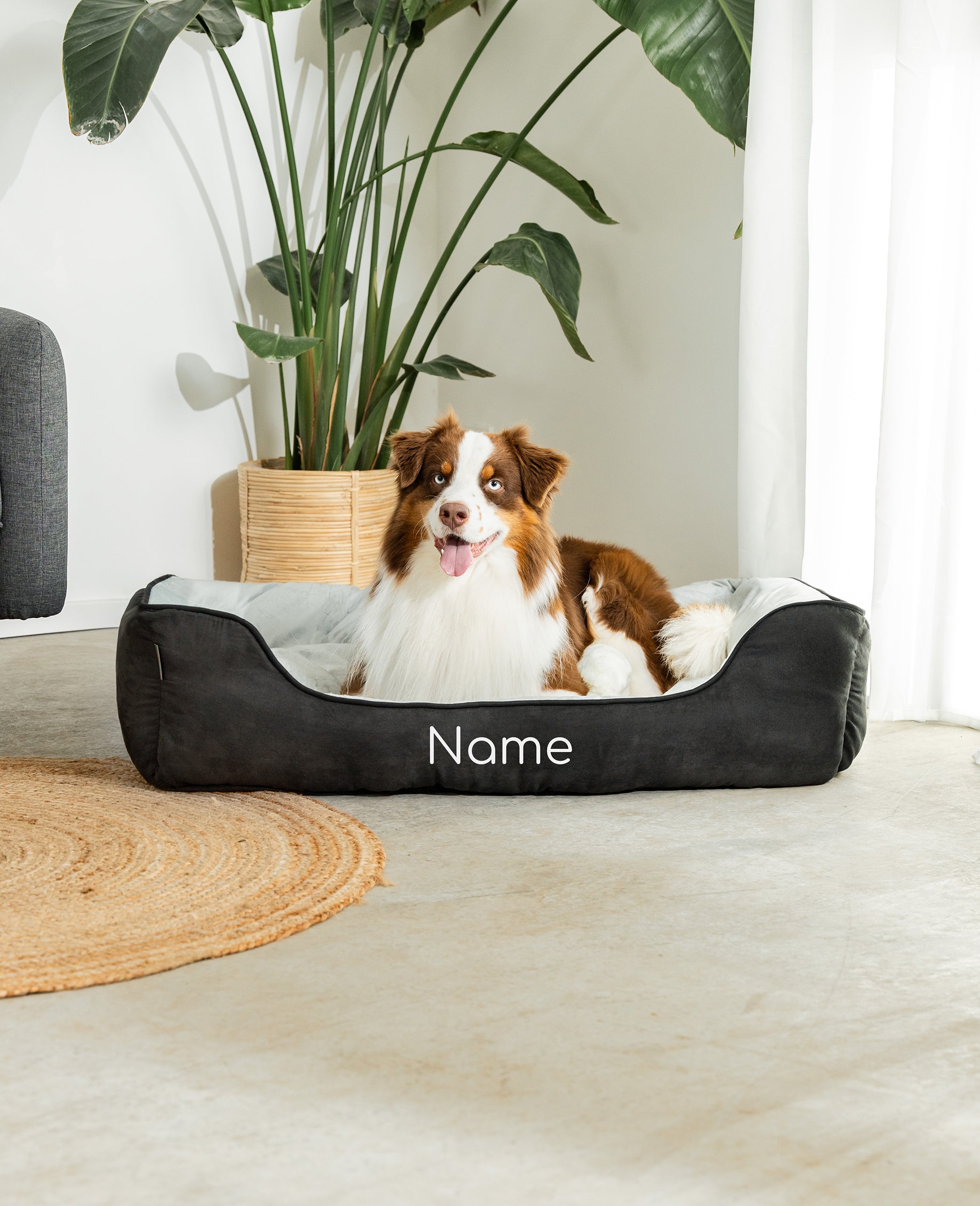 Lit pour animaux de compagnie 2 en 1, personnalisé