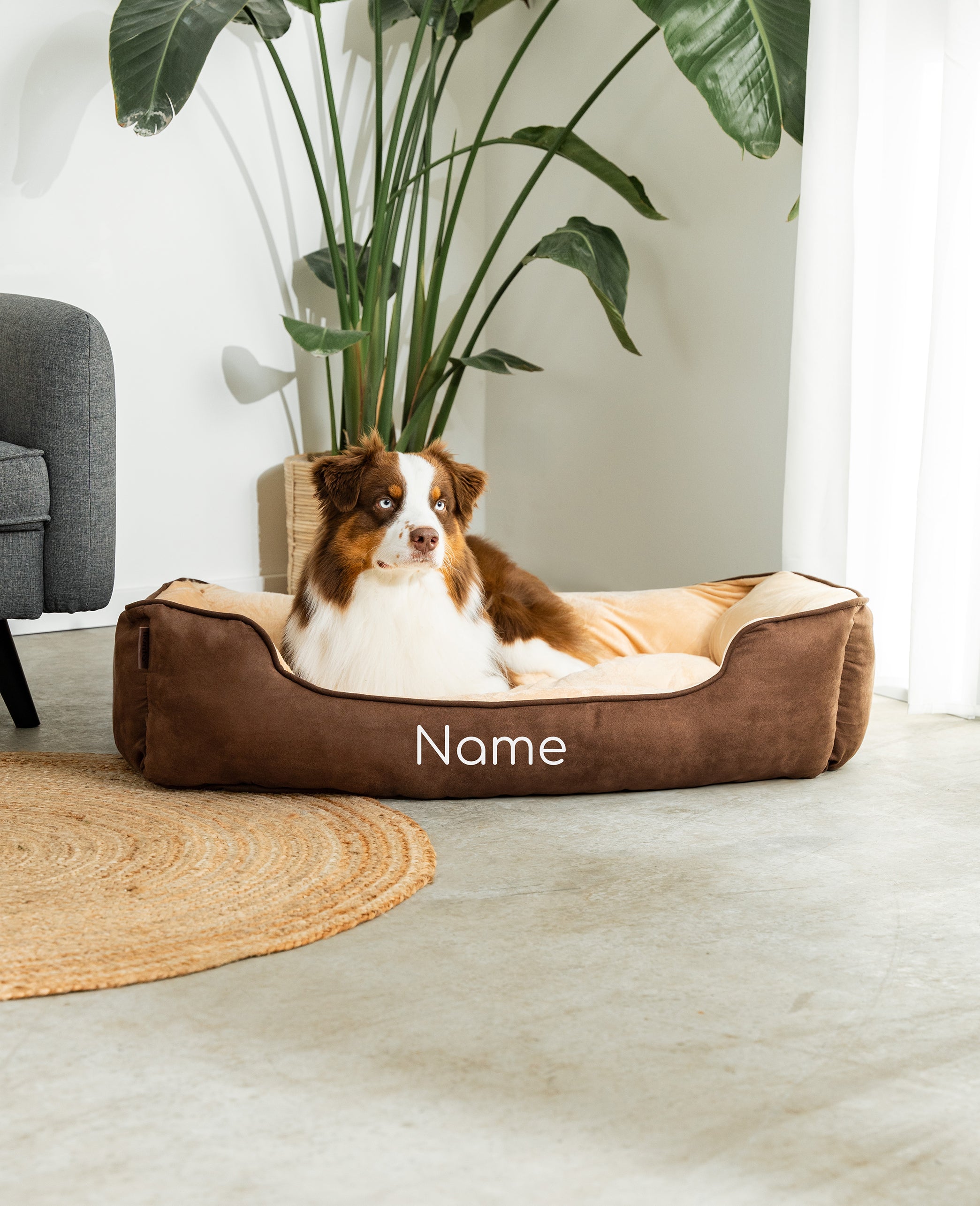 Lit pour animaux de compagnie 2 en 1, personnalisé