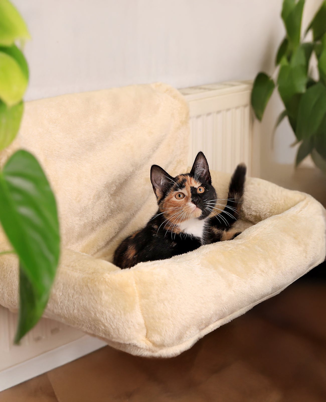 Chaise longue chauffante en peluche pour chat