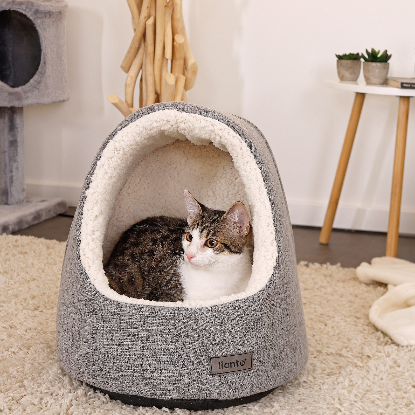 Grotte pour chat avec coussin réversible