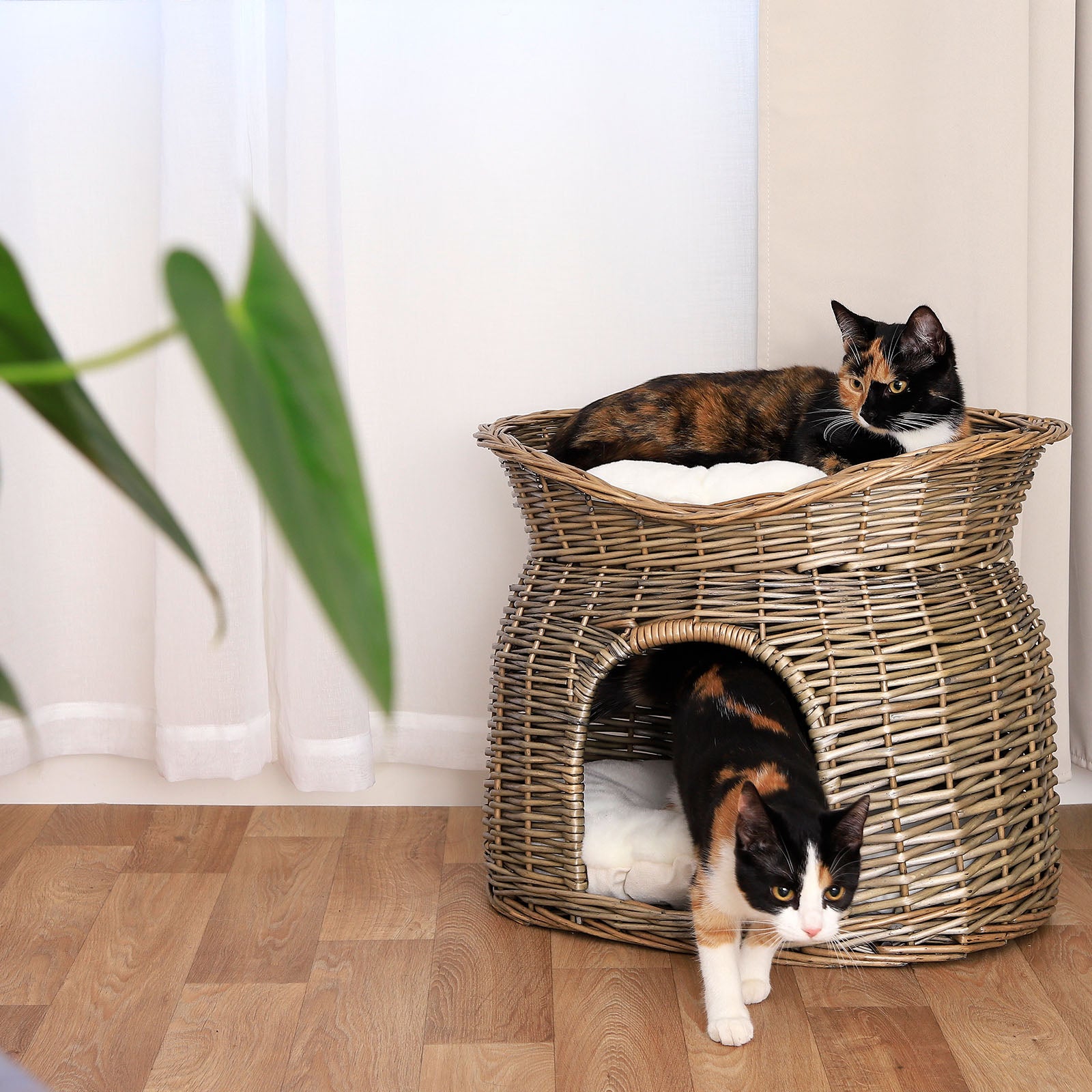 Panier en osier pour chat