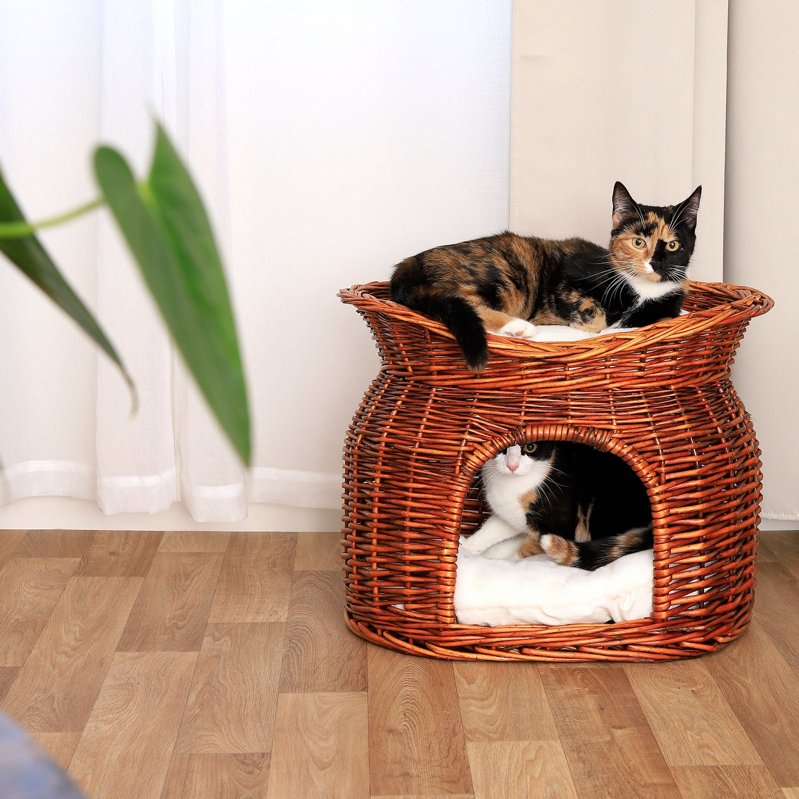 Corbeille osier chats grotte chats avec coussin couleurs différentes 55x39x43 cm