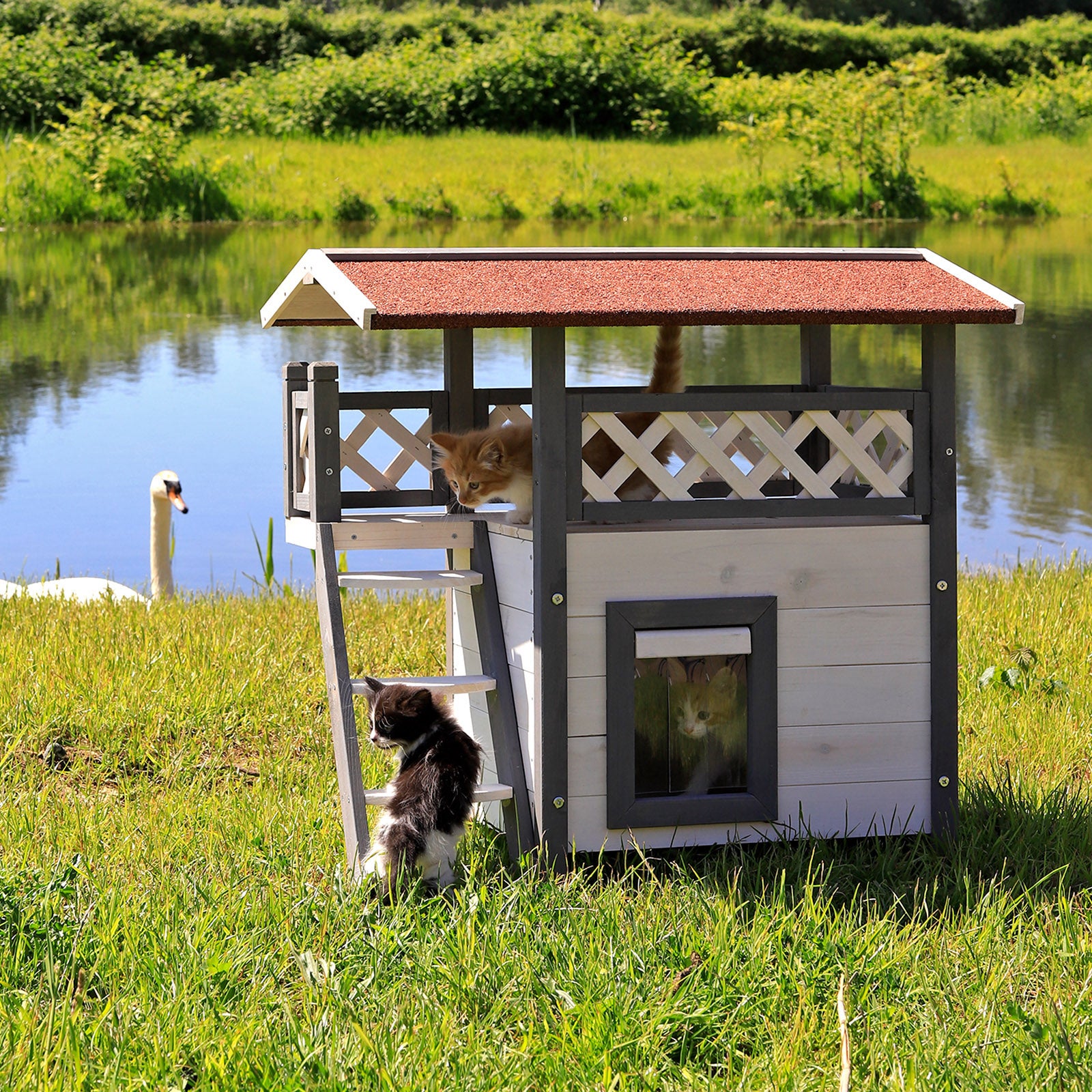 Maison pour chat en bois avec terrasse et escalier
