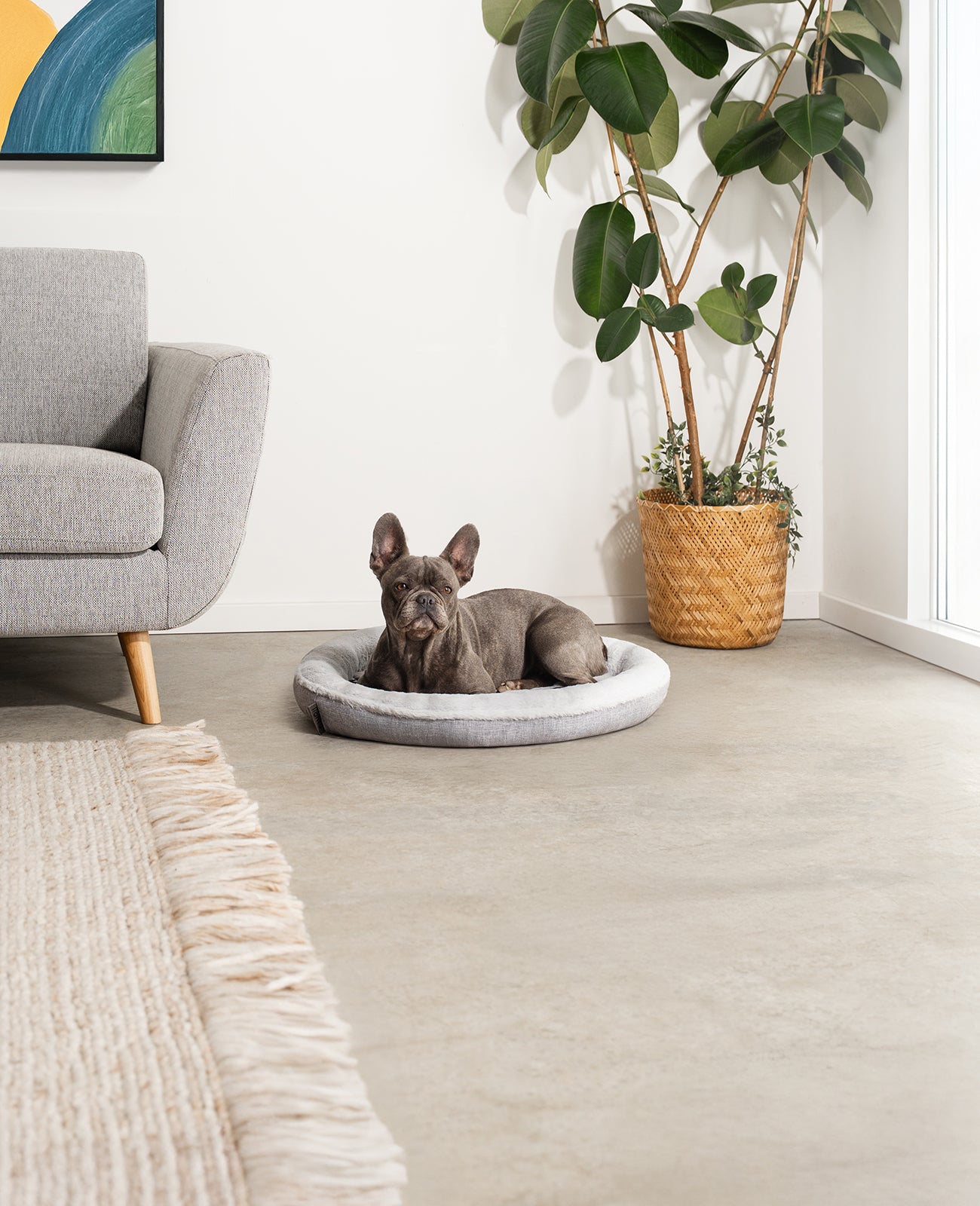 Lit rond pour chien en forme de beignet