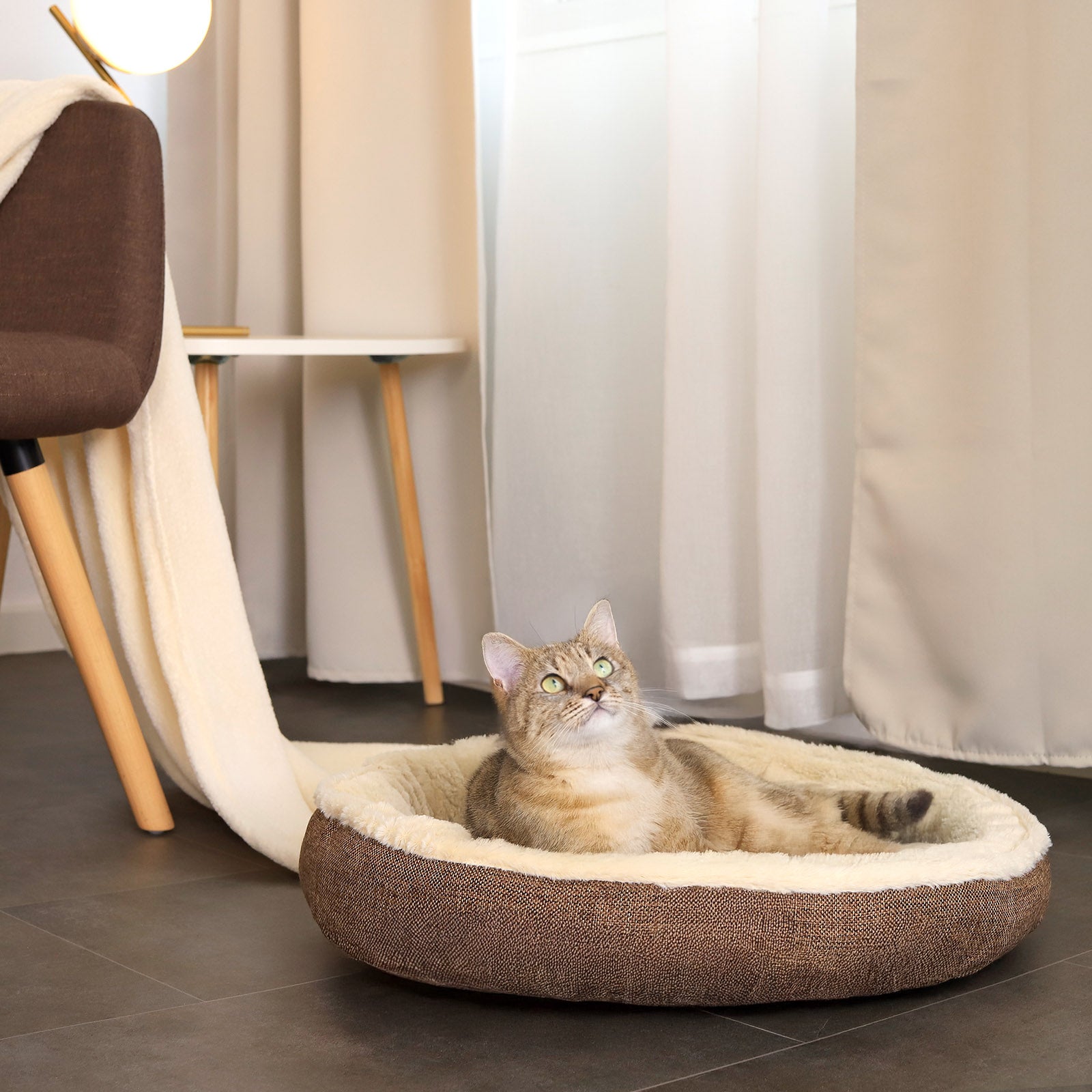 Lit pour chat en forme de beignet en peluche