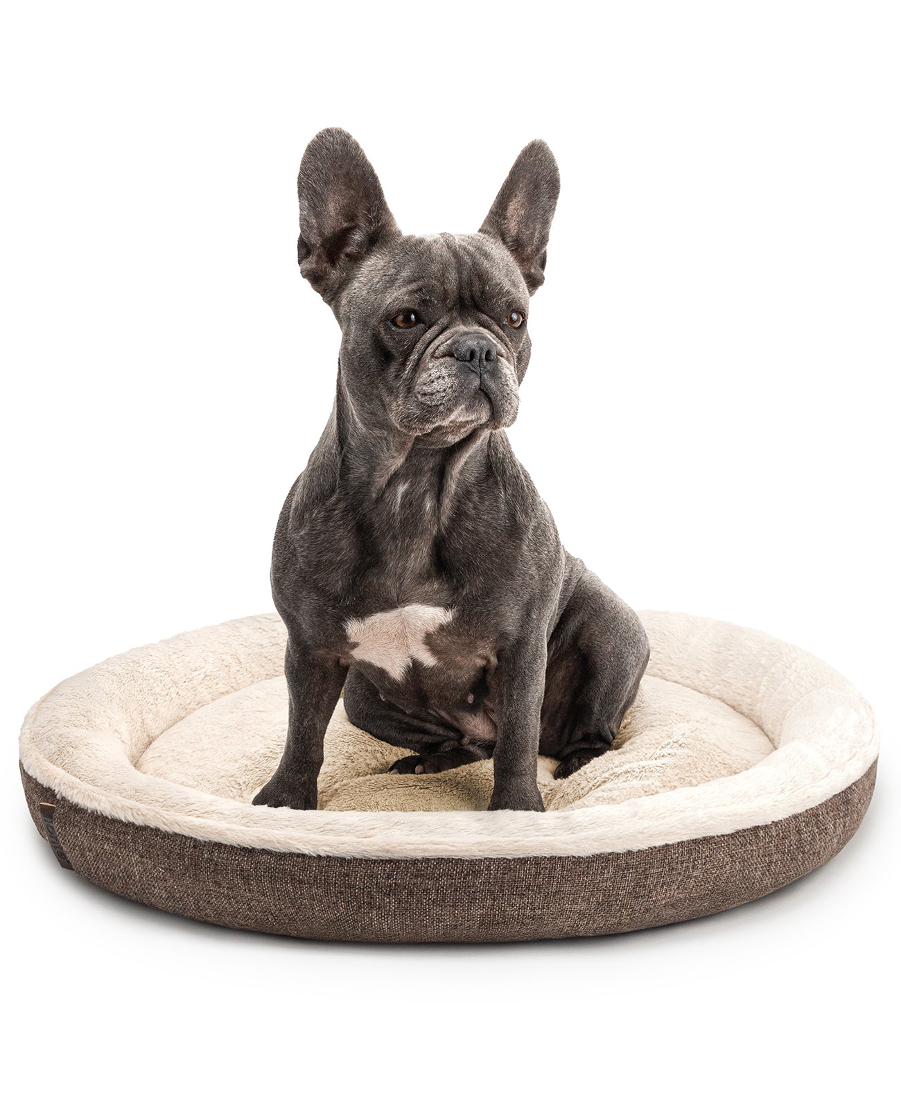 lionto Lit chien rond coussin chien panier chien panier chat donut diverses variantes