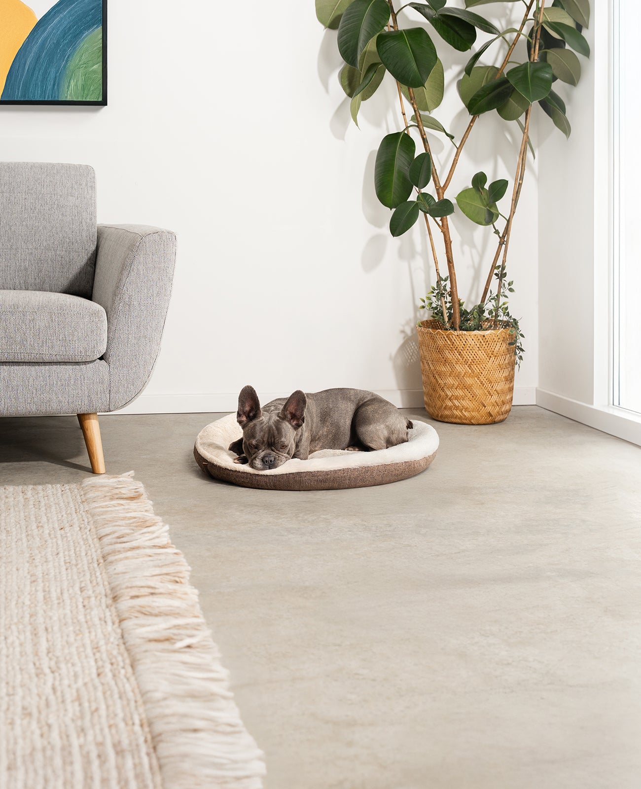 Lit rond pour chien en forme de beignet