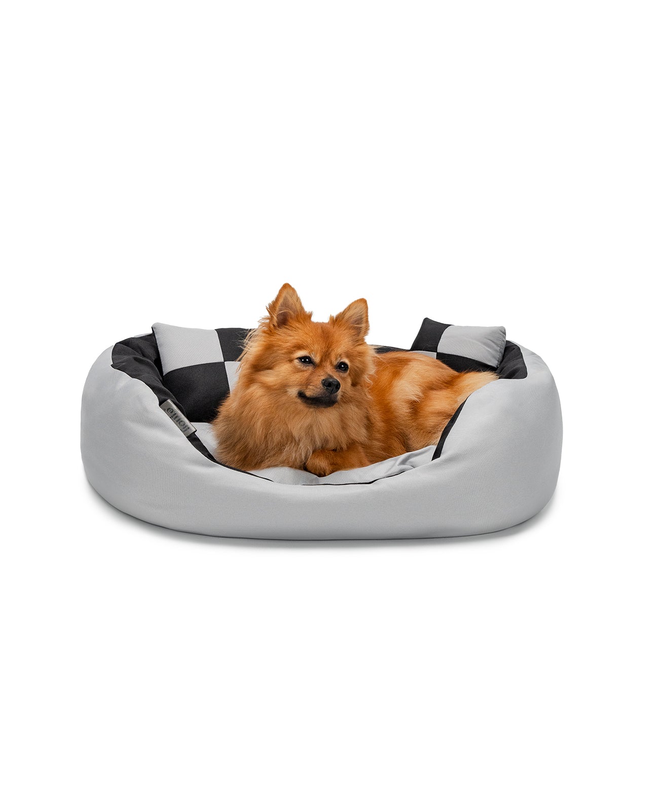 Zwergspitzt liegt in Hundebett aus Oxfordgewebe mit Wendekissen in grau/schwarz