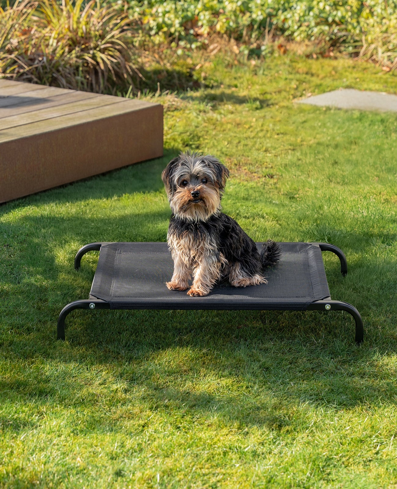 lionto Lit pour Chiens, Couchette en Tissu Textilene, gris ou noir