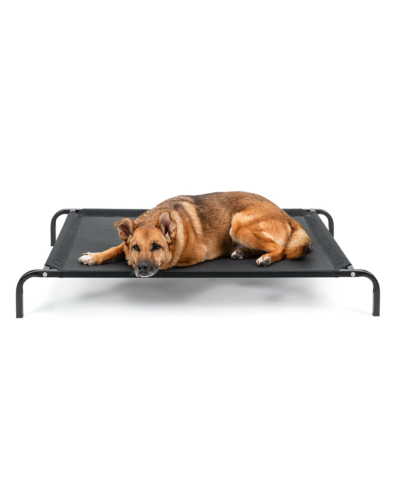 lionto Lit pour Chiens, Couchette en Tissu Textilene, gris ou noir