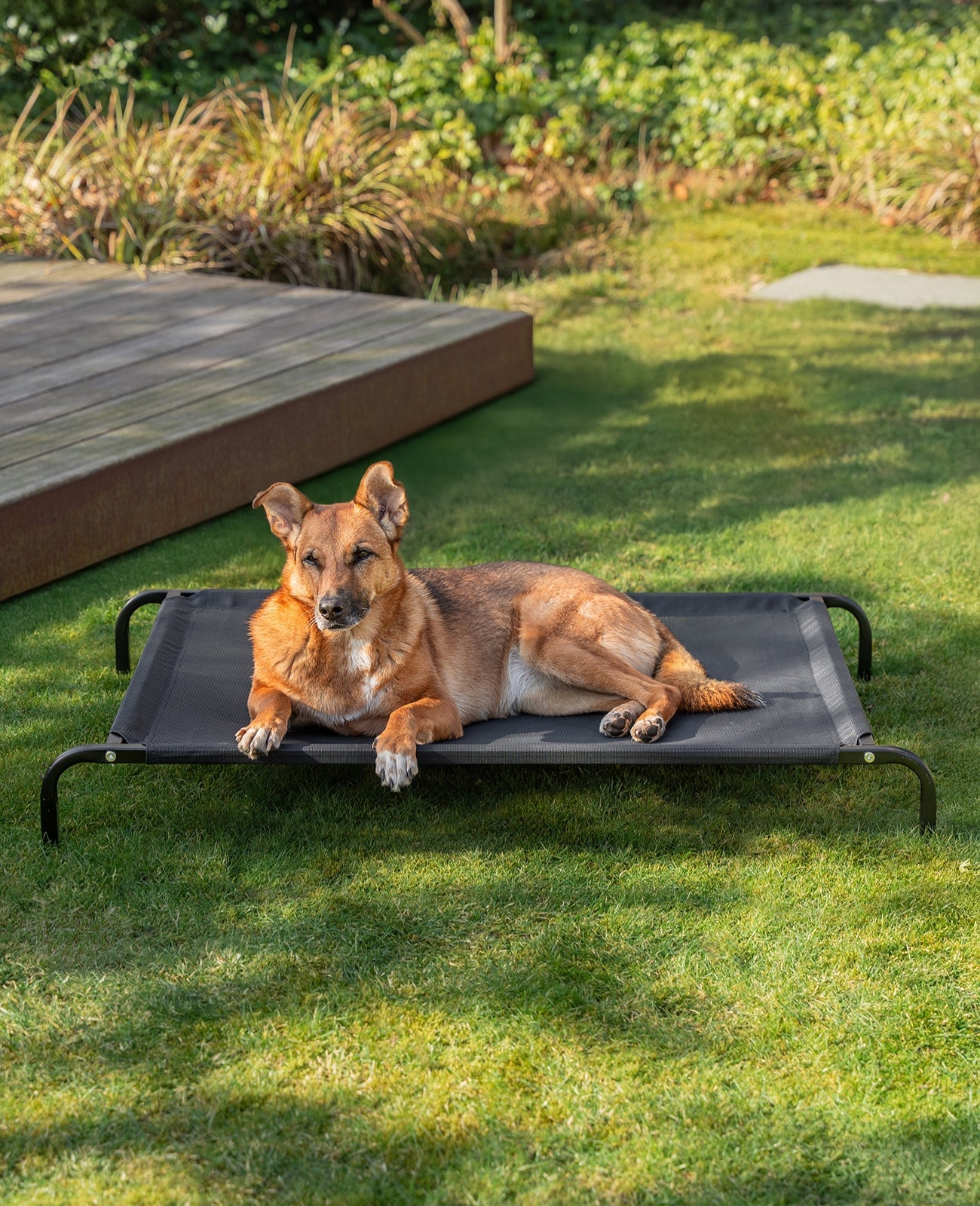 lionto Lit pour Chiens, Couchette en Tissu Textilene, gris ou noir