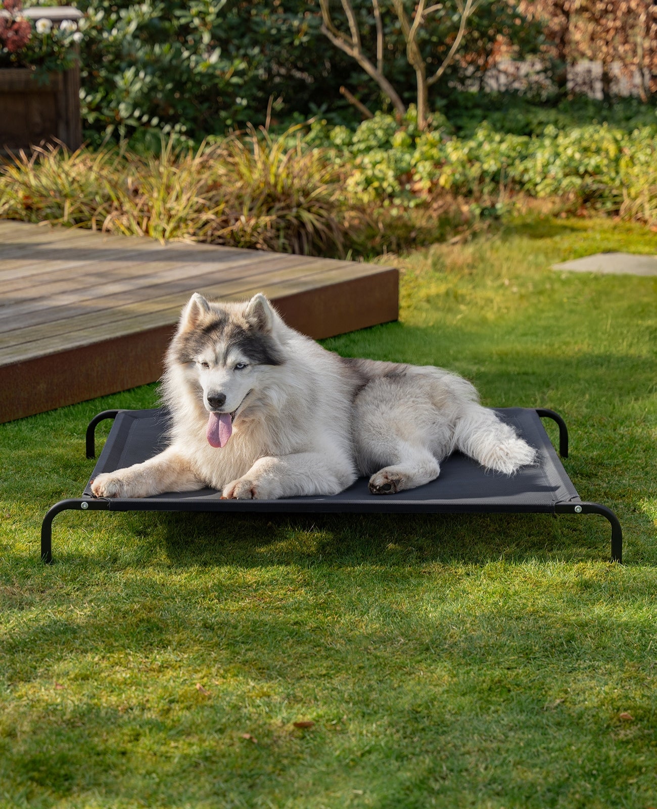 lionto Lit pour Chiens, Couchette en Tissu Textilene, gris ou noir