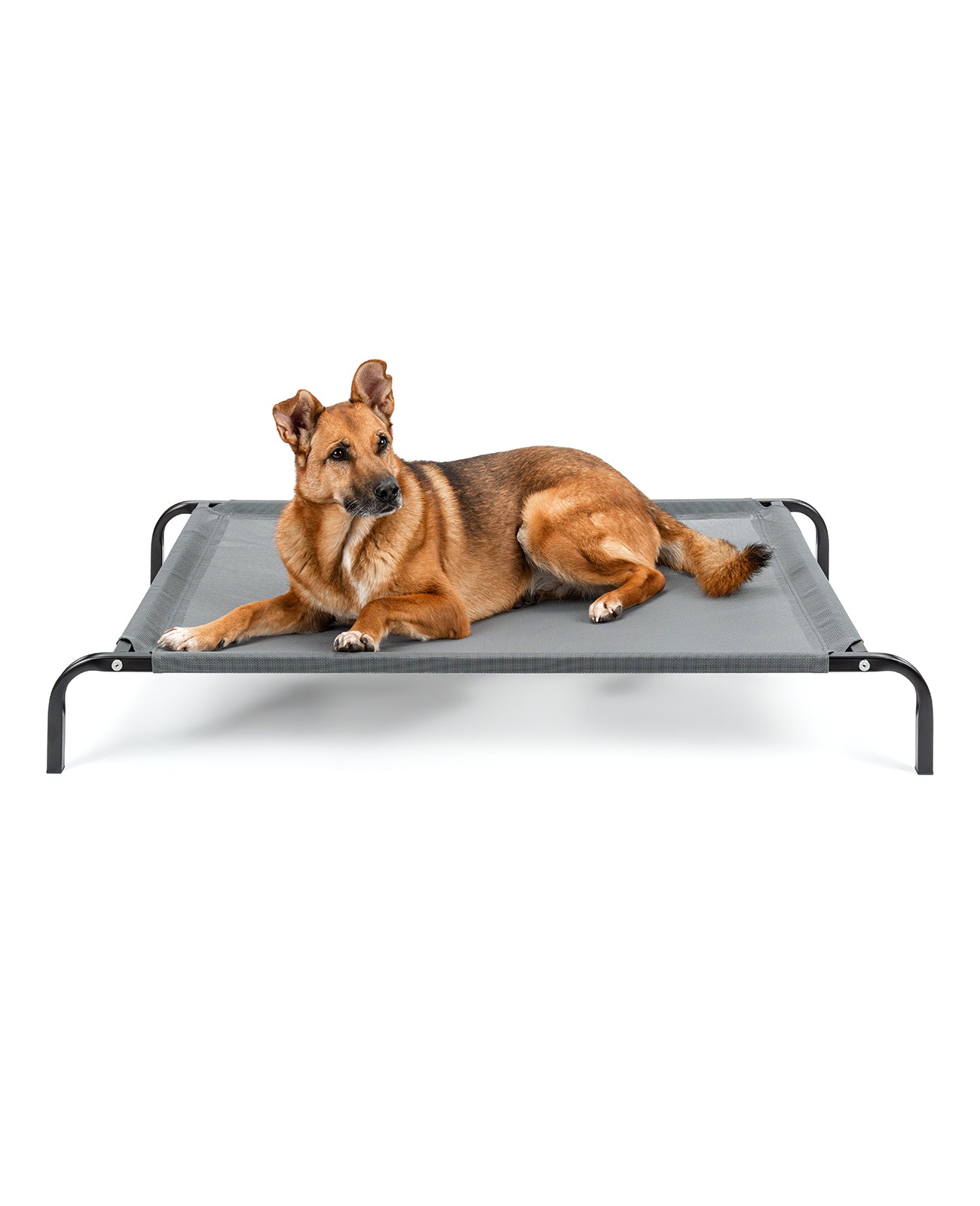 lionto Lit pour Chiens, Couchette en Tissu Textilene, gris ou noir
