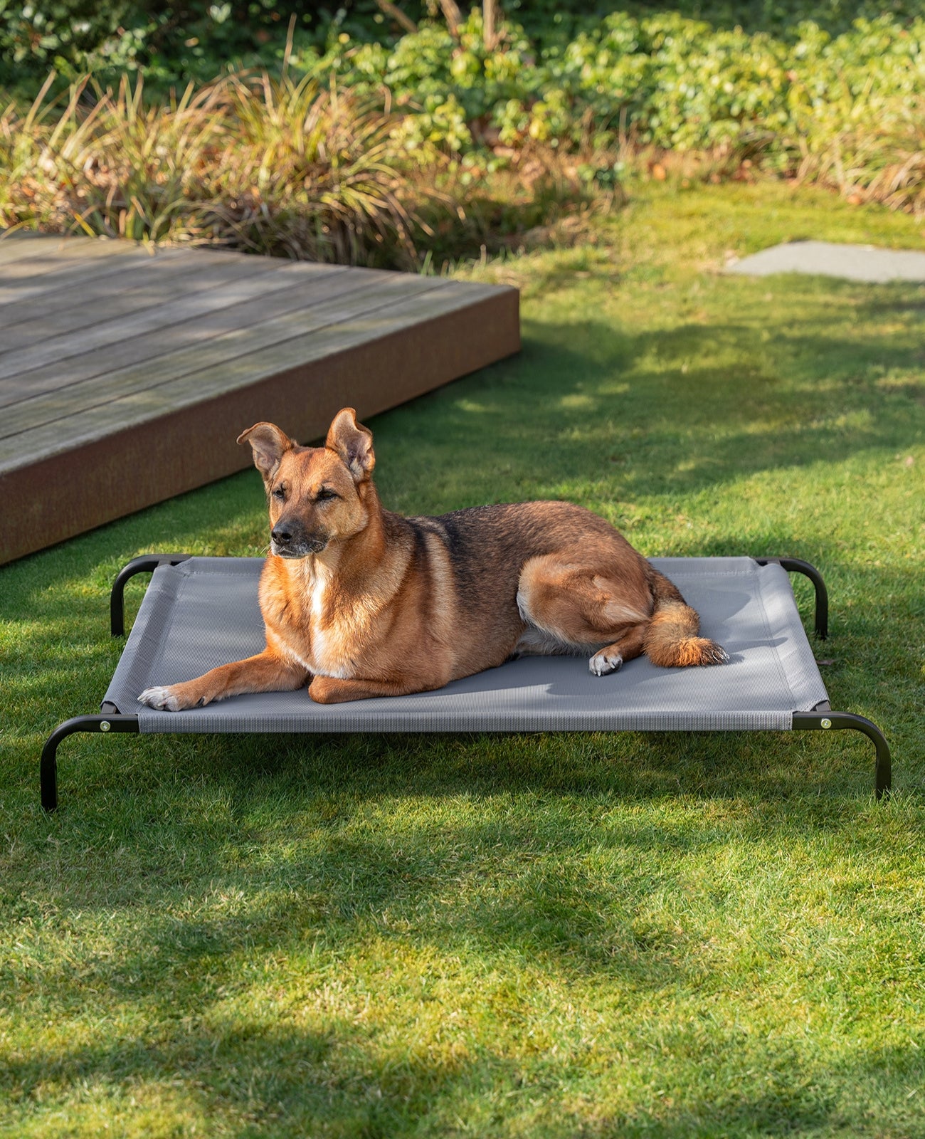 lionto Lit pour Chiens, Couchette en Tissu Textilene, gris ou noir