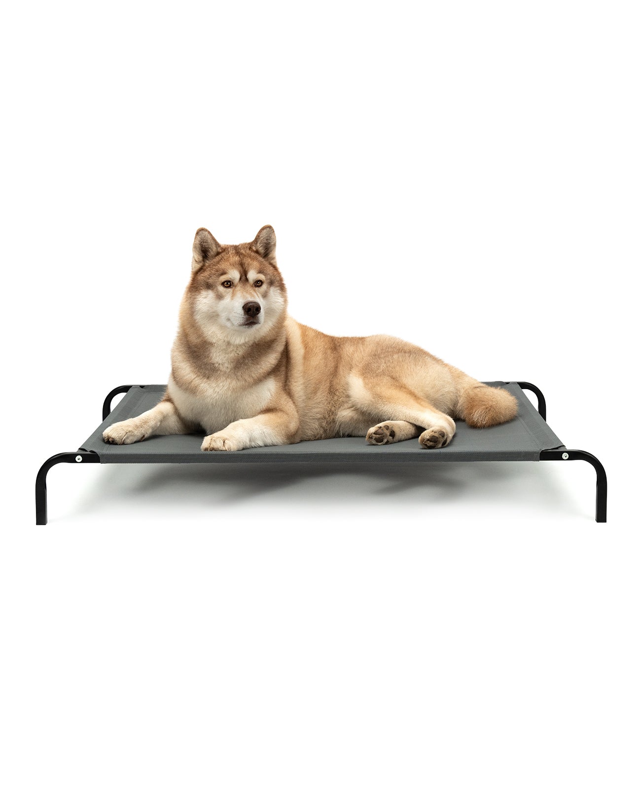 lionto Lit pour Chiens, Couchette en Tissu Textilene, gris ou noir