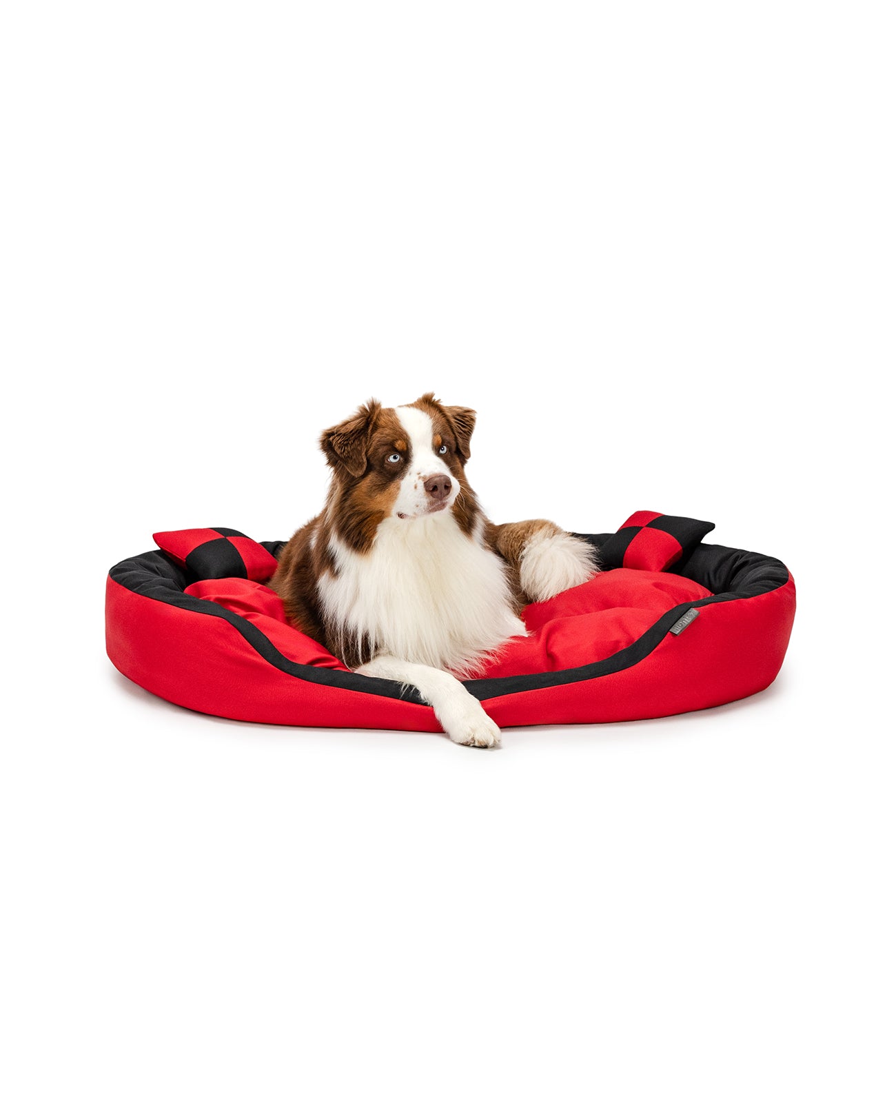 Border Collie liegt in Hundebett aus Oxfordgewebe mit Wendekissen in rot/schwarz