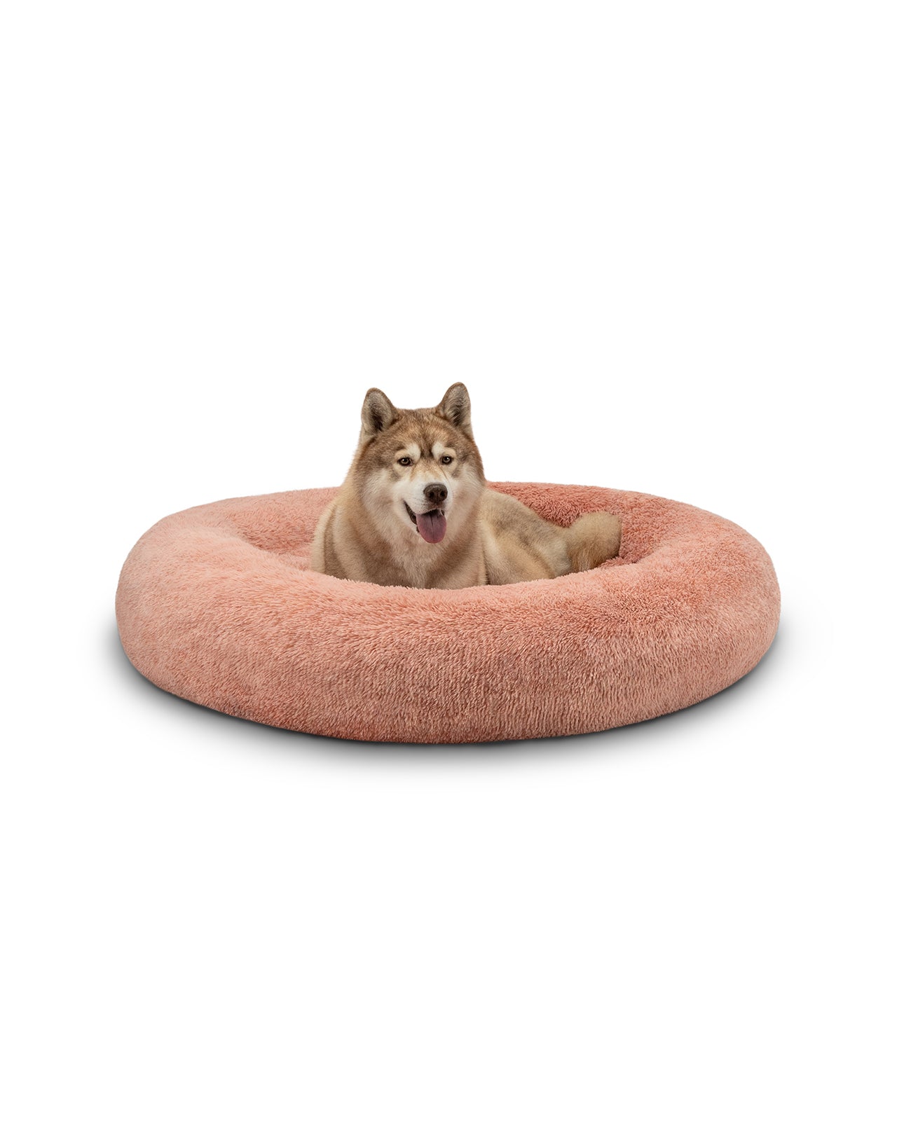 lionto Panier rond chien coussin chat panier donut choix de la taille et couleur