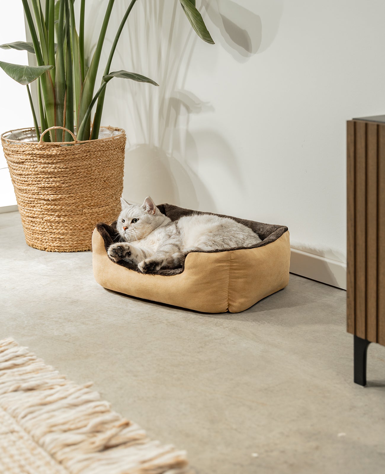 lionto Lit chien coussin chien panier chien avec coussin taille/couleur au choix