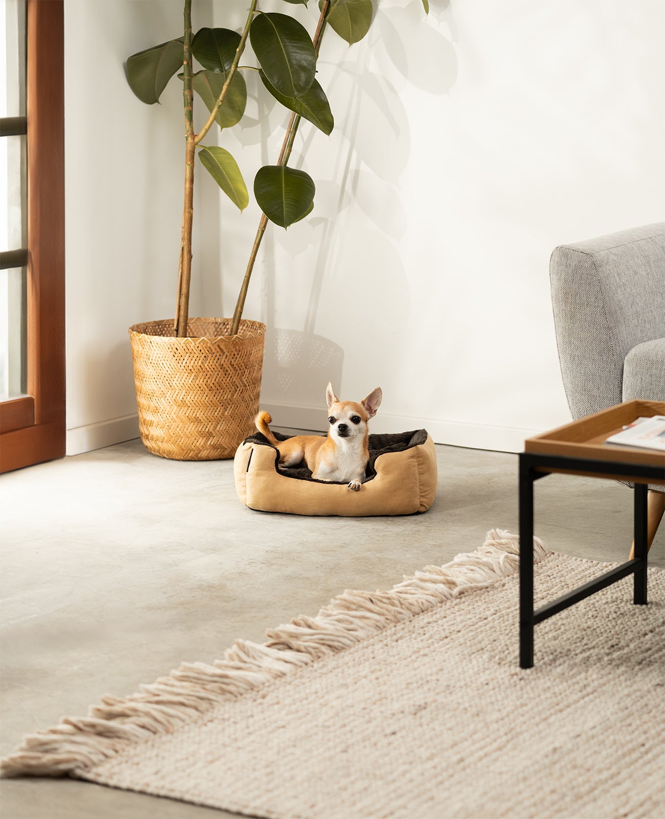 Lit pour chien avec coussin réversible