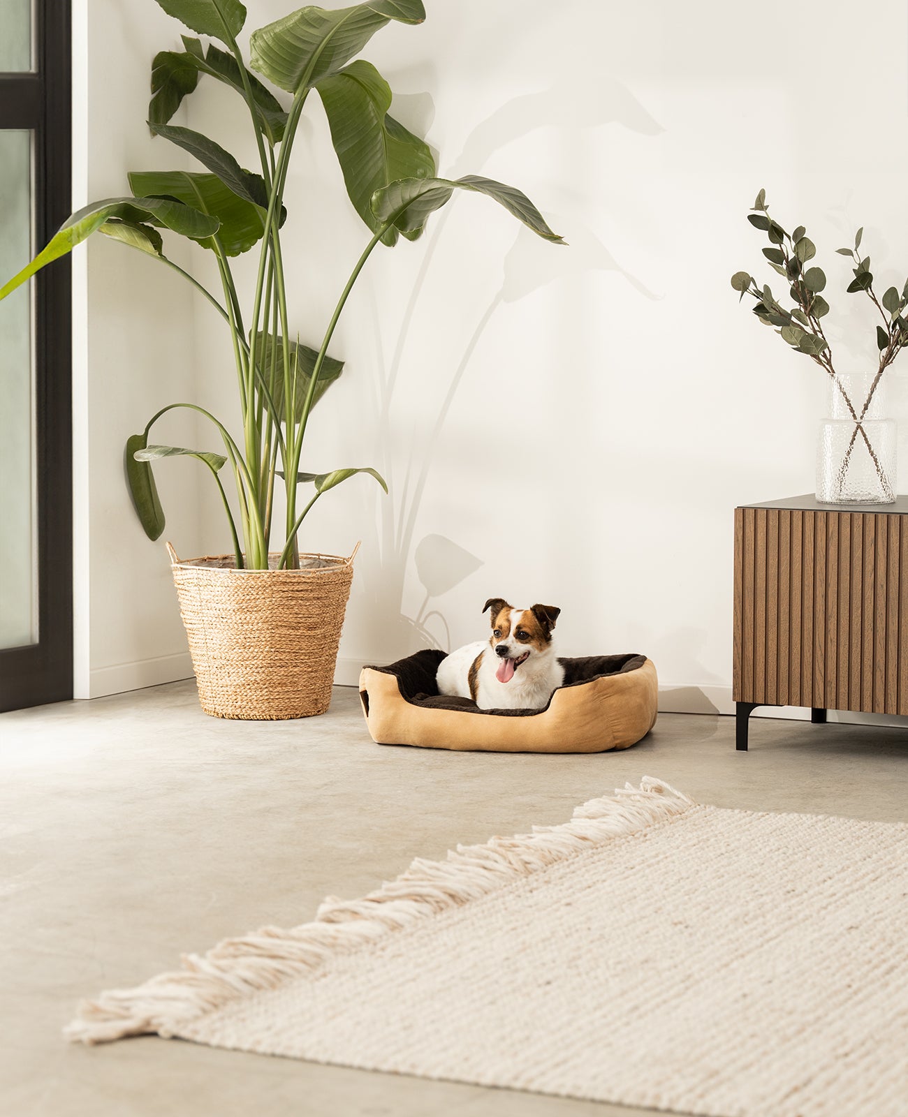 Lit pour chien avec coussin réversible