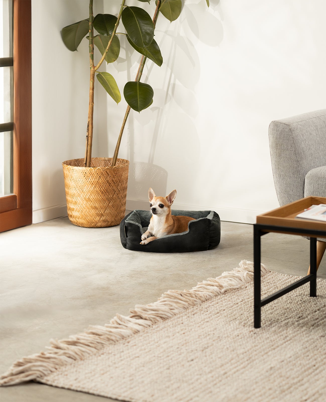 Lit pour chien avec coussin réversible