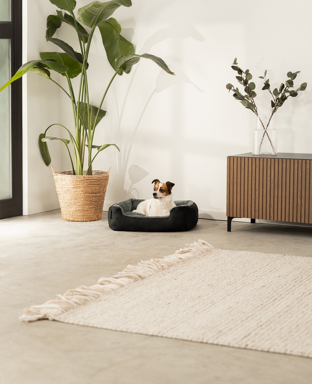 Lit pour chien avec coussin réversible