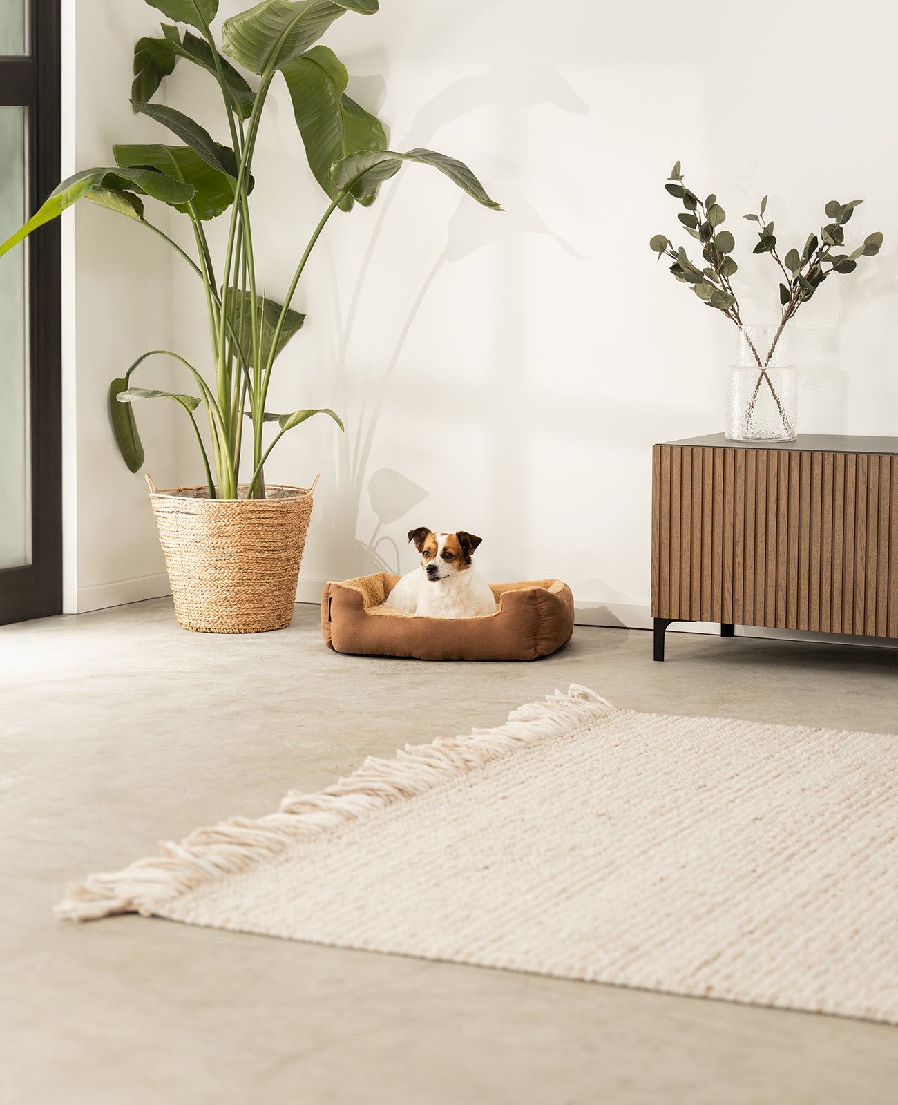 Lit pour chien avec coussin réversible