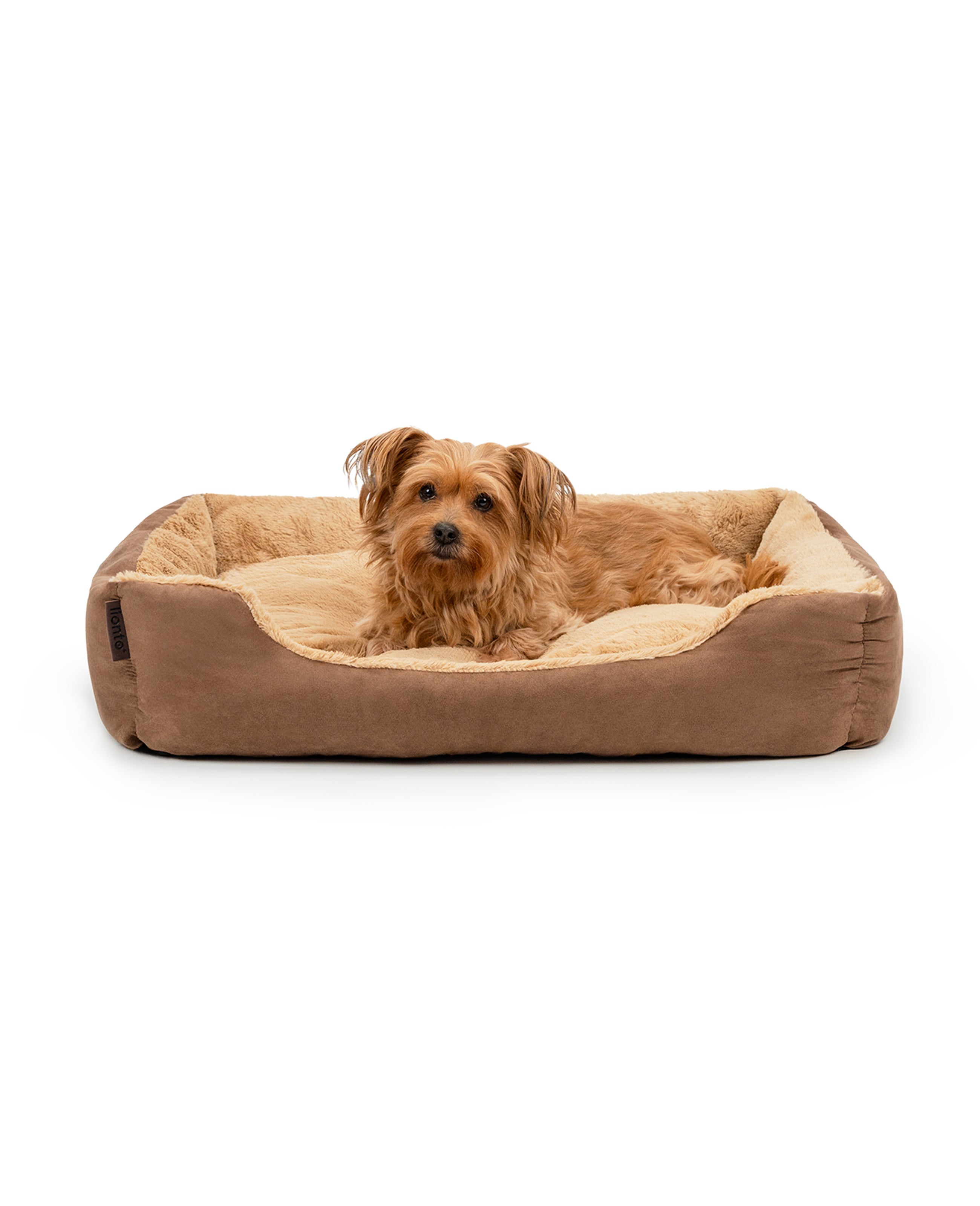 Lit pour chien avec coussin réversible