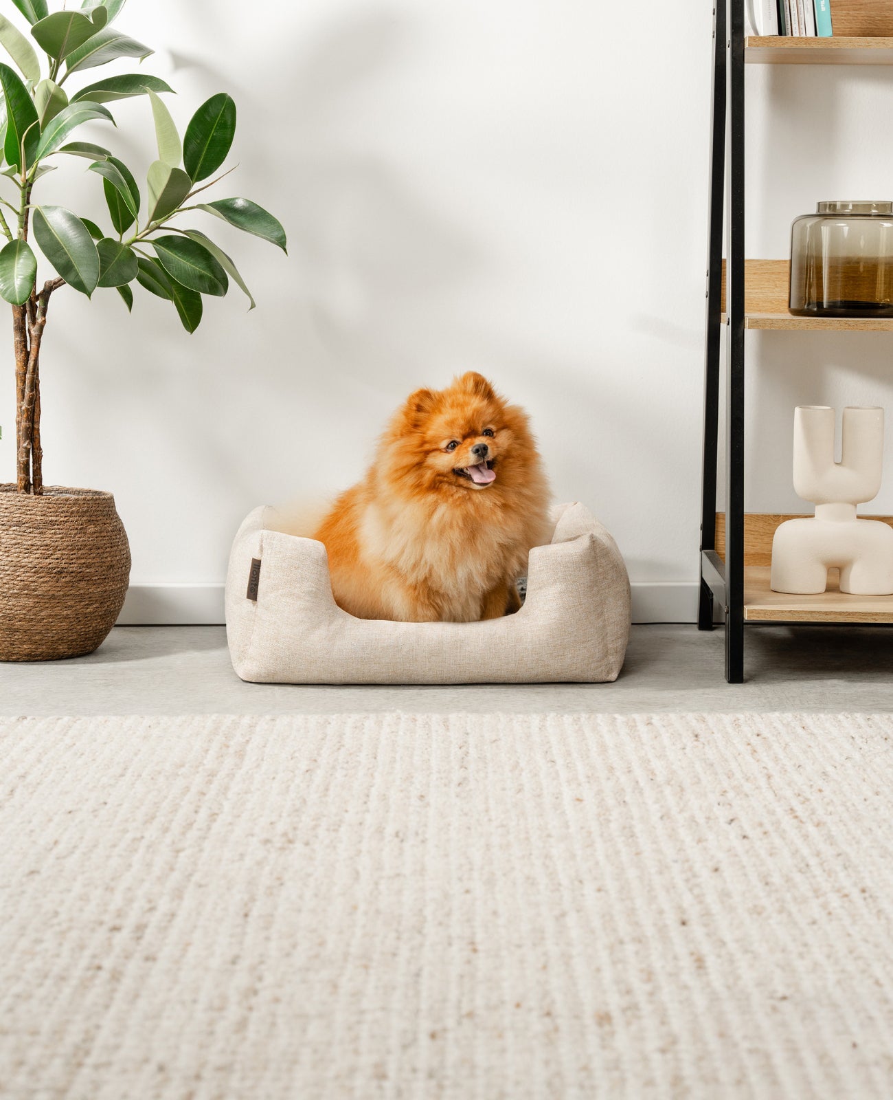 Lit pour chien avec coussin réversible