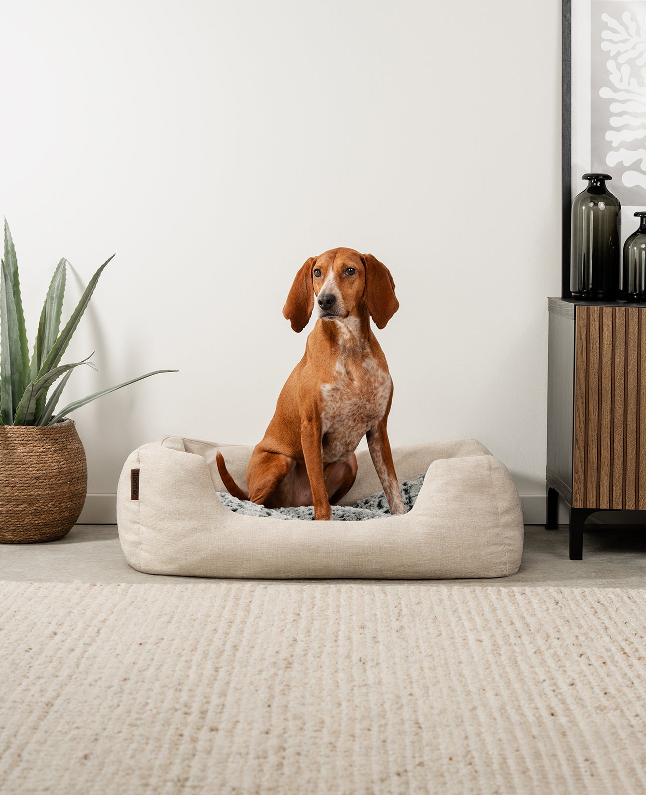 Lit pour chien avec coussin réversible