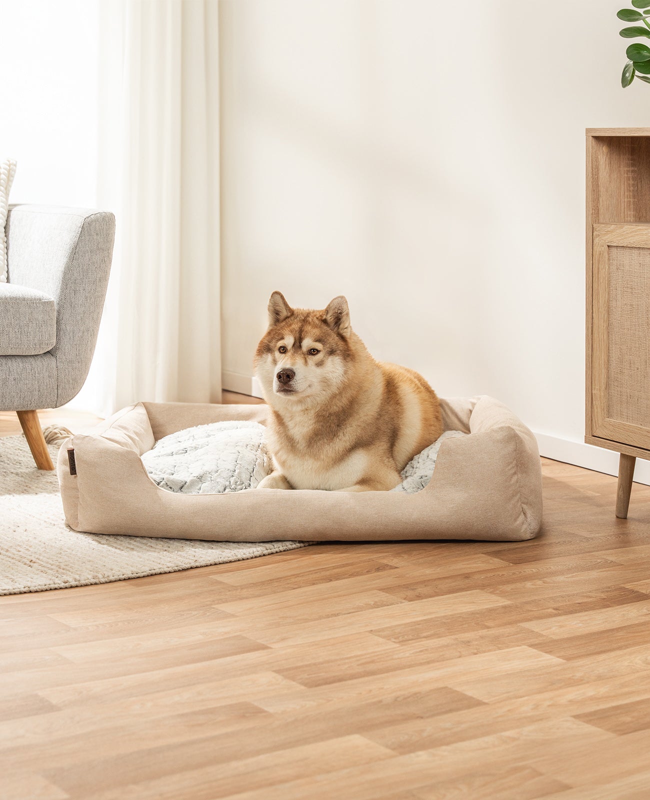 Lit pour chien avec coussin réversible