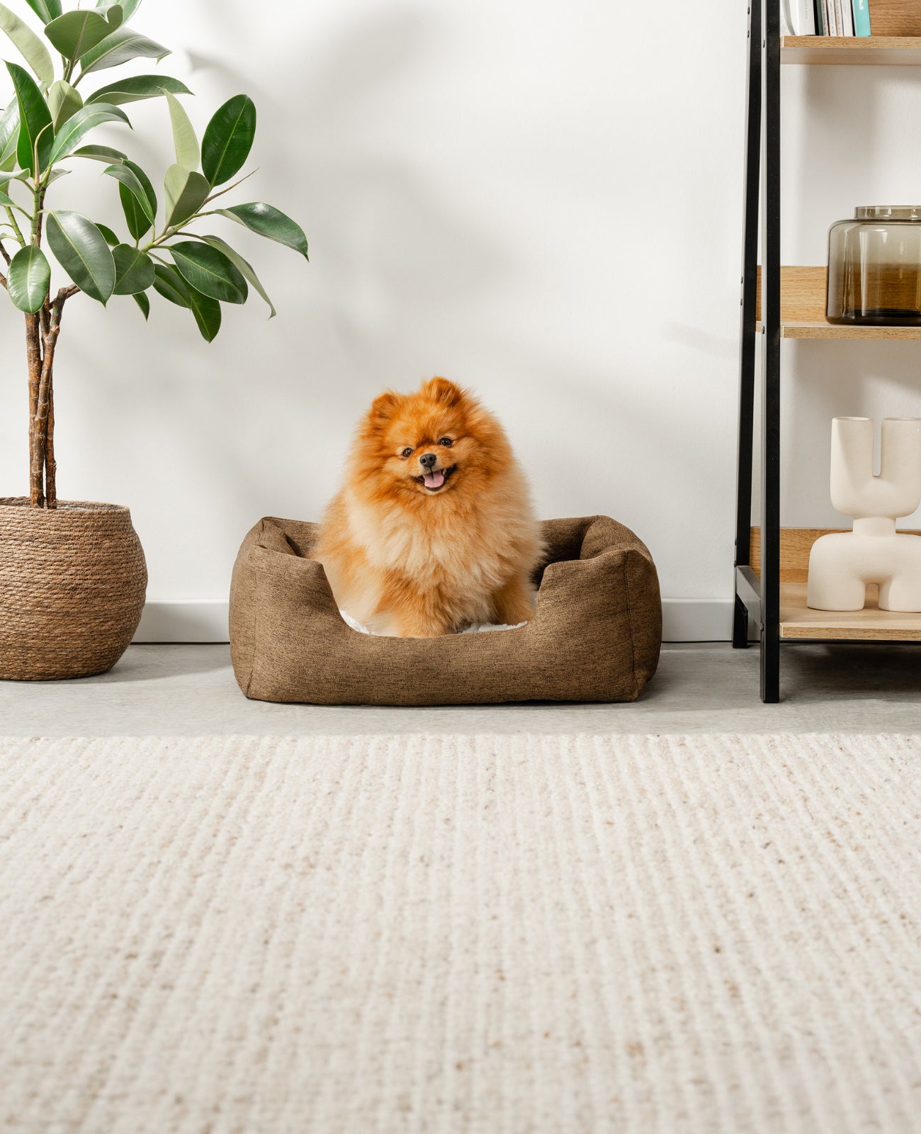 Lit pour chien avec coussin réversible