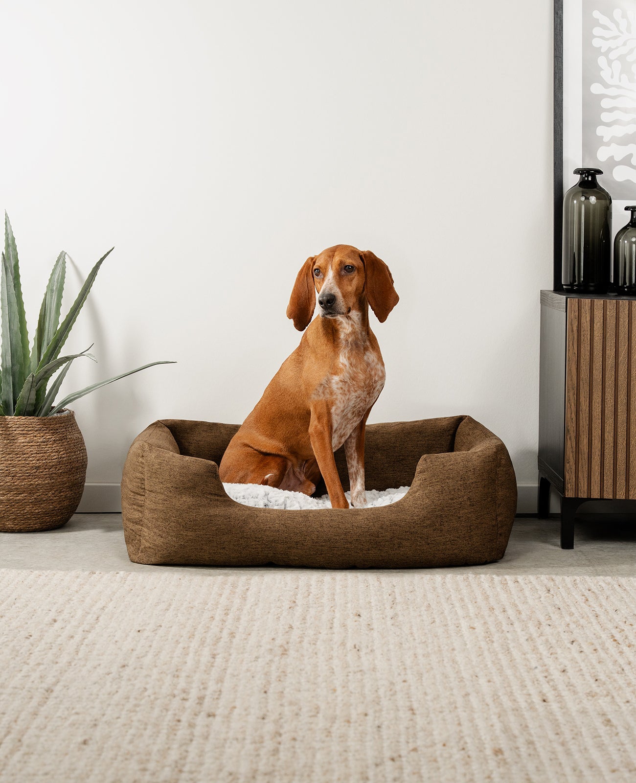 Lit pour chien avec coussin réversible