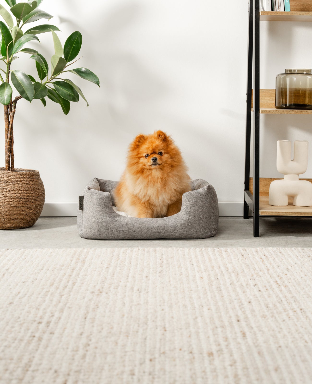 Lit pour chien avec coussin réversible