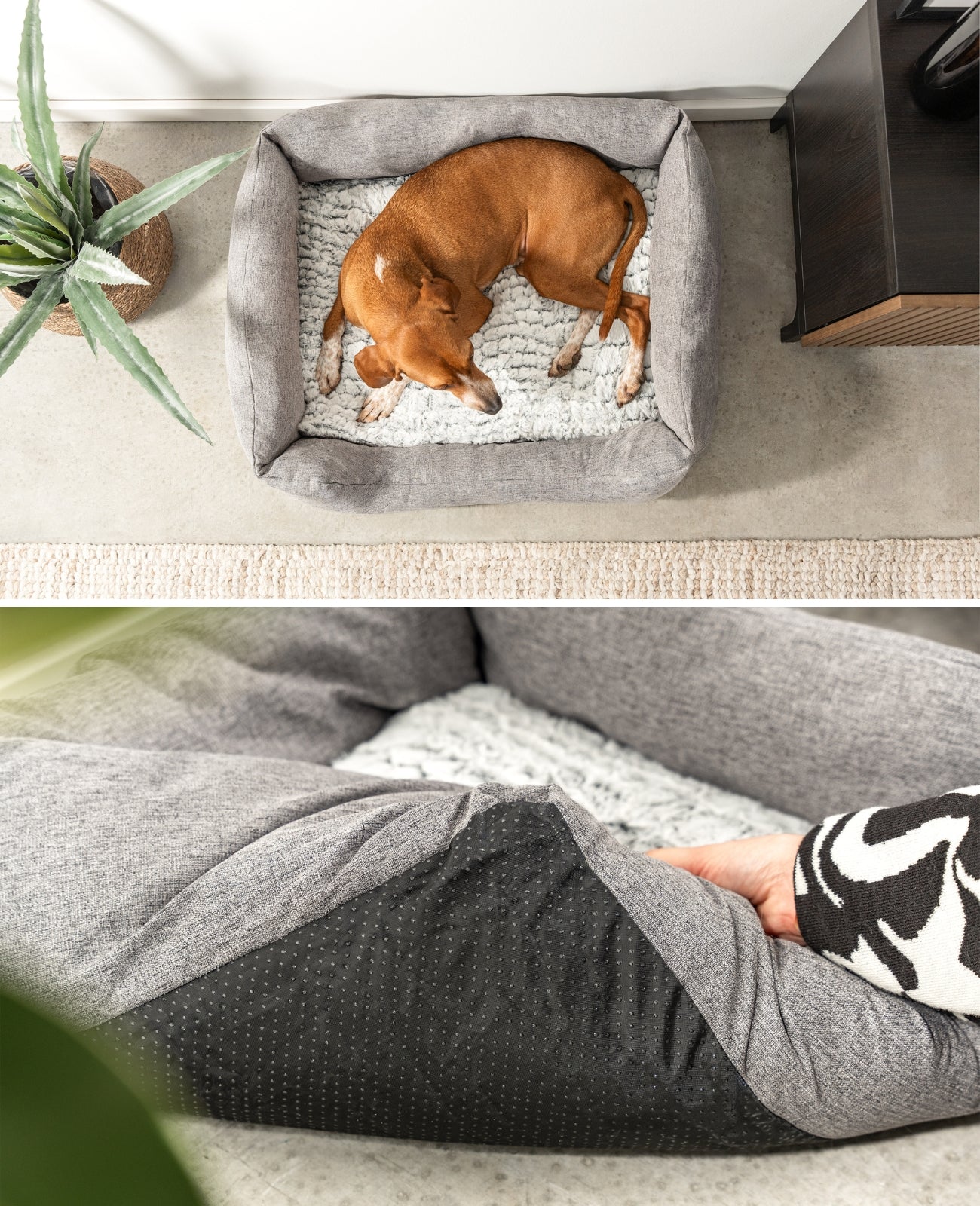 Lit pour chien avec coussin réversible