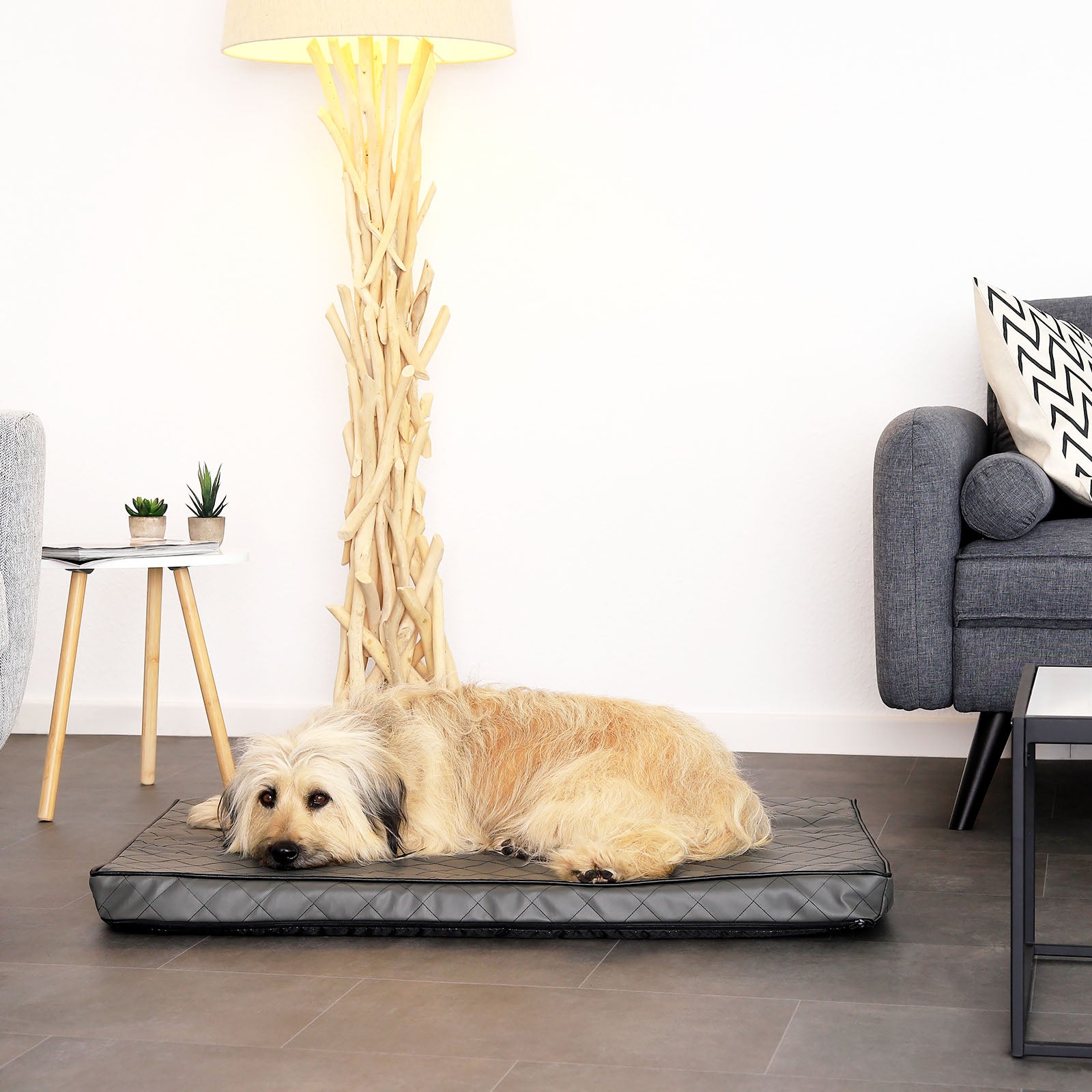 Tapis orthopédique pour chien