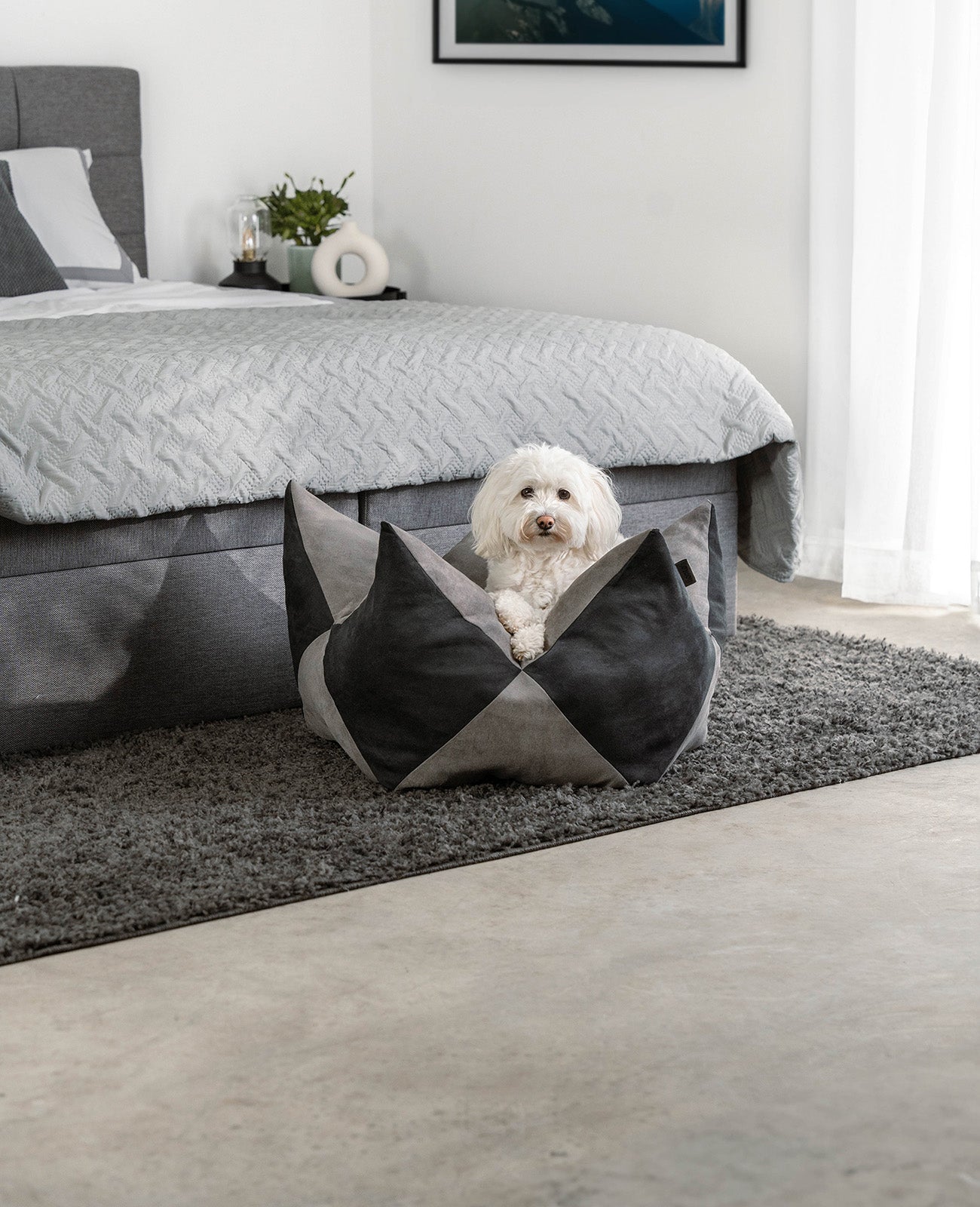 lionto Coussin Crown Coussin Star Lit pour chien, différentes versions