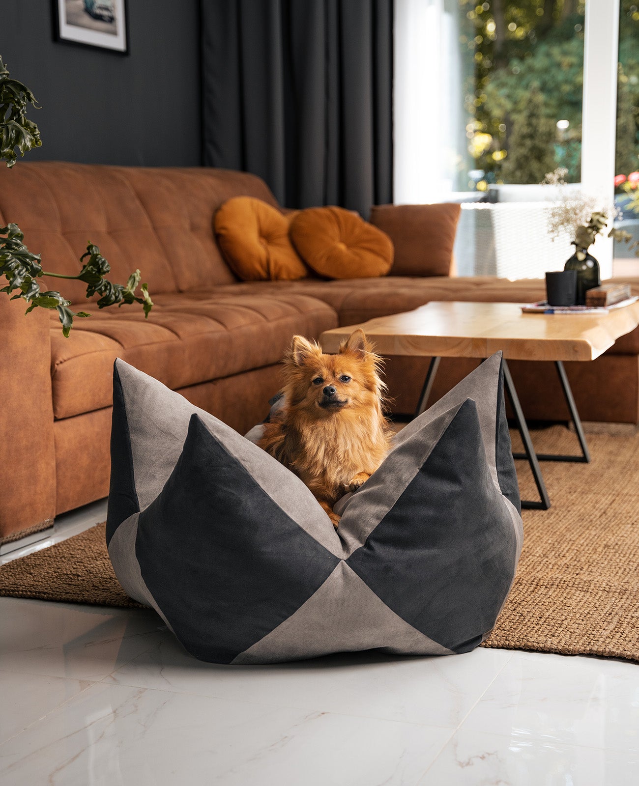 lionto Coussin Crown Coussin Star Lit pour chien, différentes versions